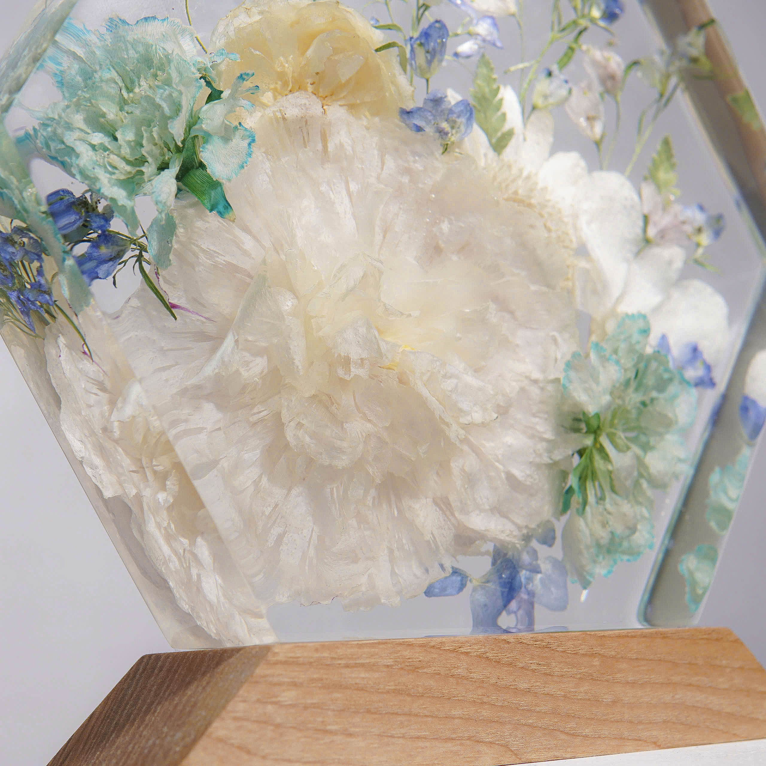 Đèn Hoa Độc Bản Bloomlight BLL4725-2