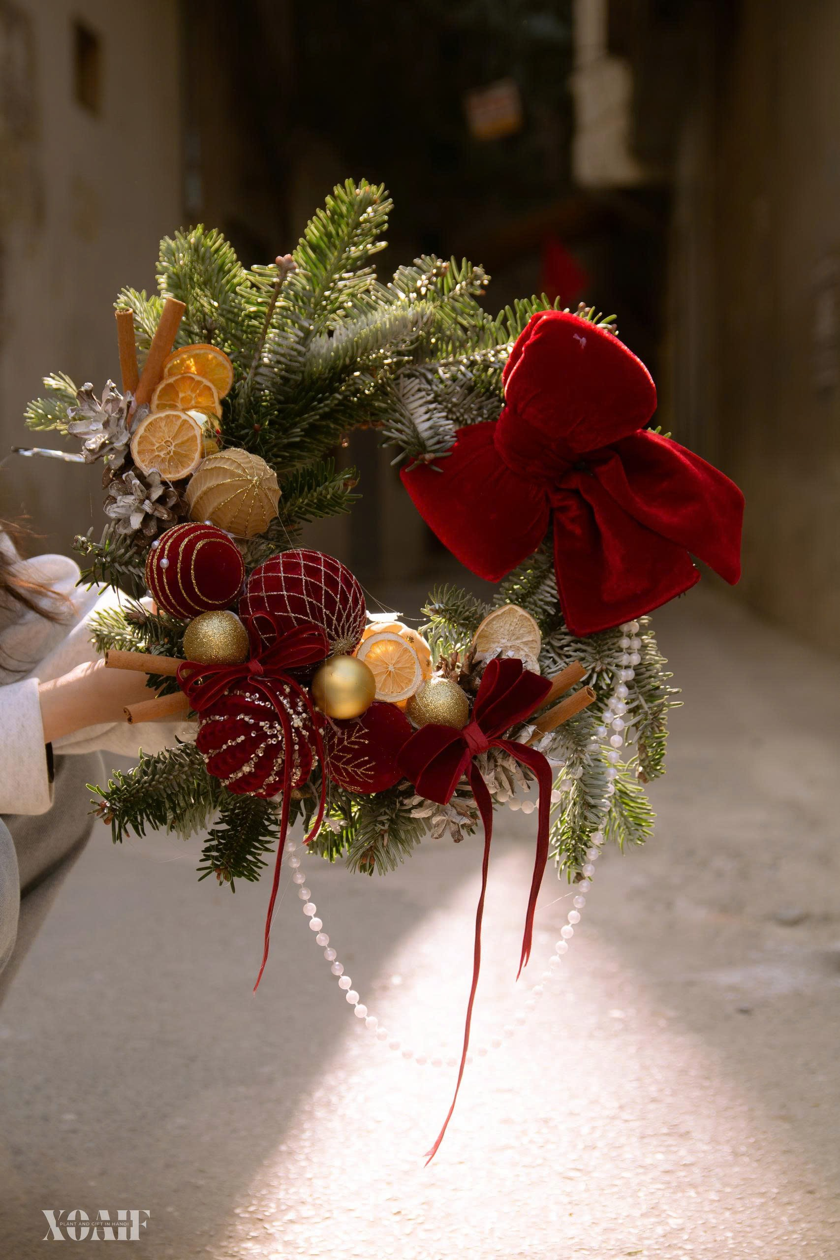 VÒNG NGUYỆT QUẾ