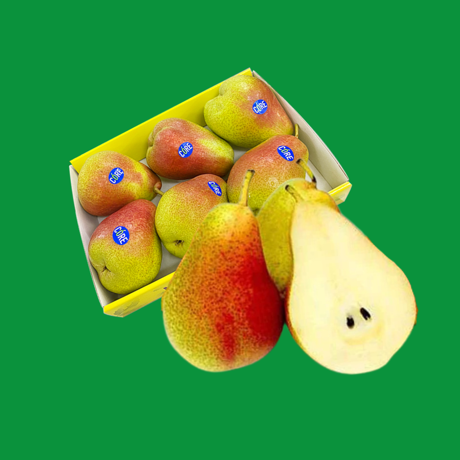 Lê Nam Phi_thumbnail_0