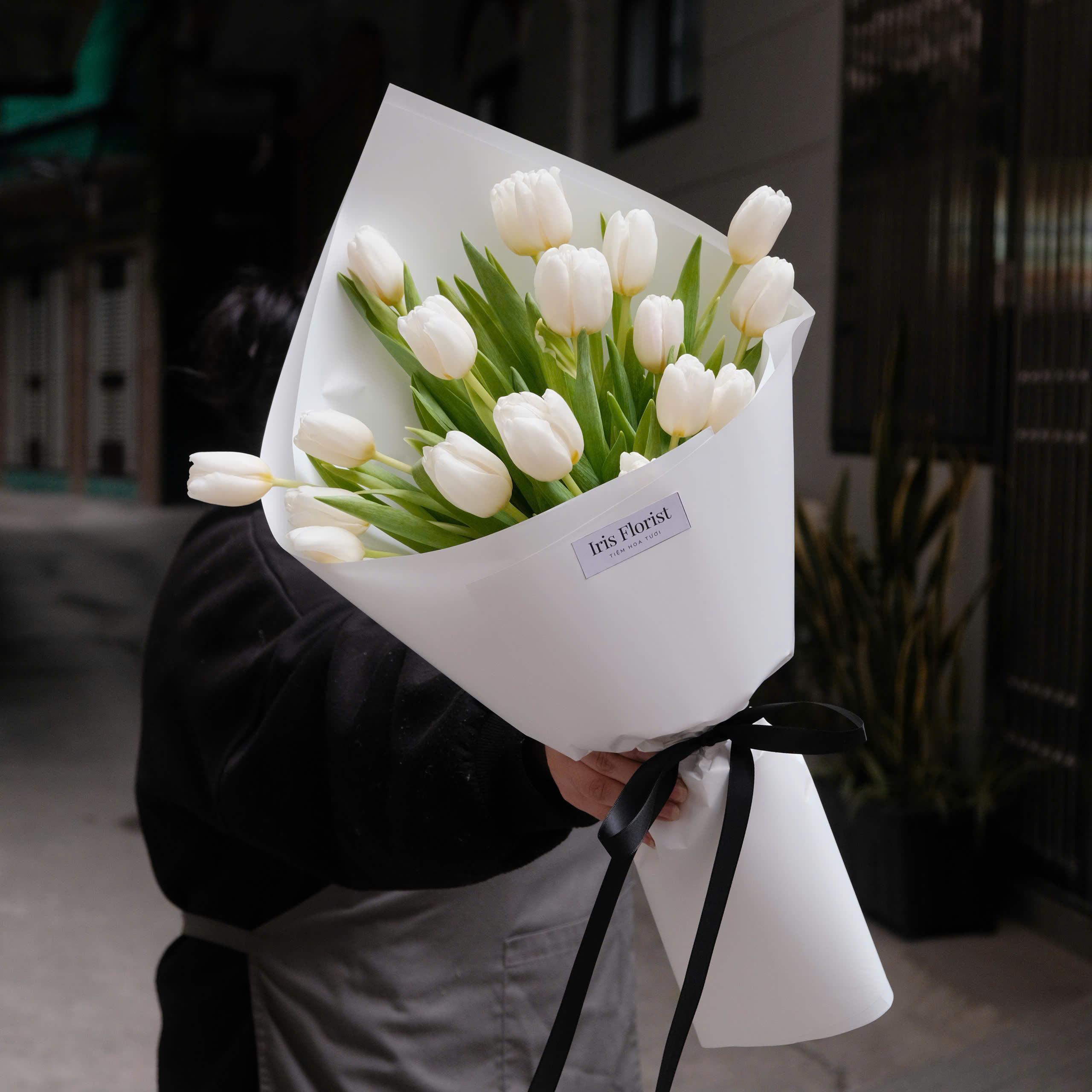 Bó Tulip trắng 20 bông