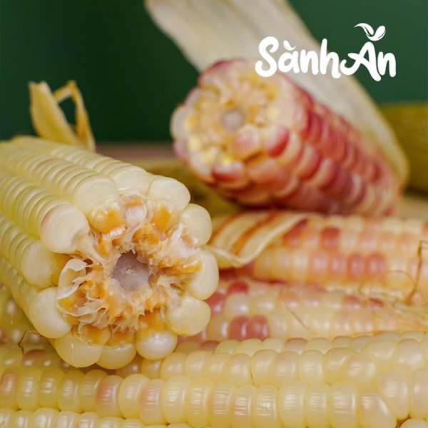 Ngô nếp mèo lạnh_thumbnail_2