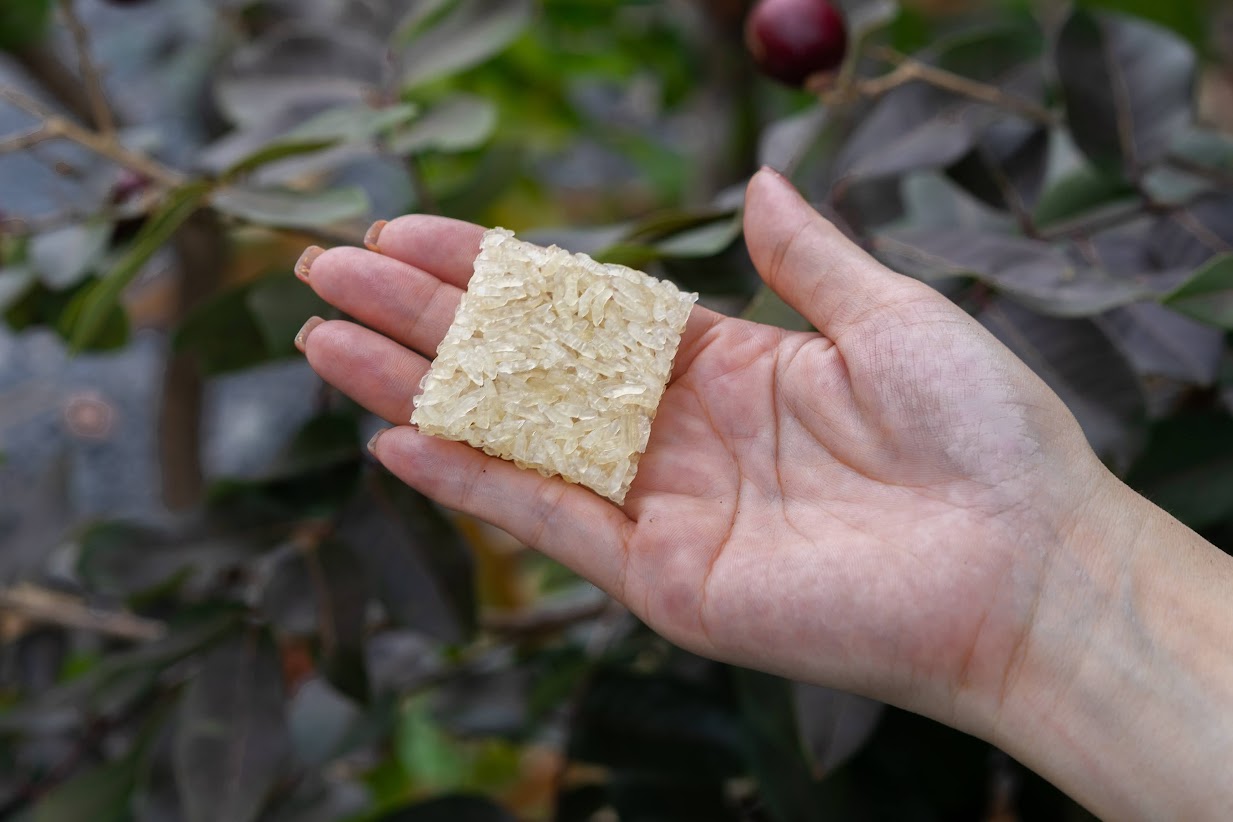 CƠM CHÁY CHƯA CHIÊN VUÔNG 4CM  250GR_thumbnail_4