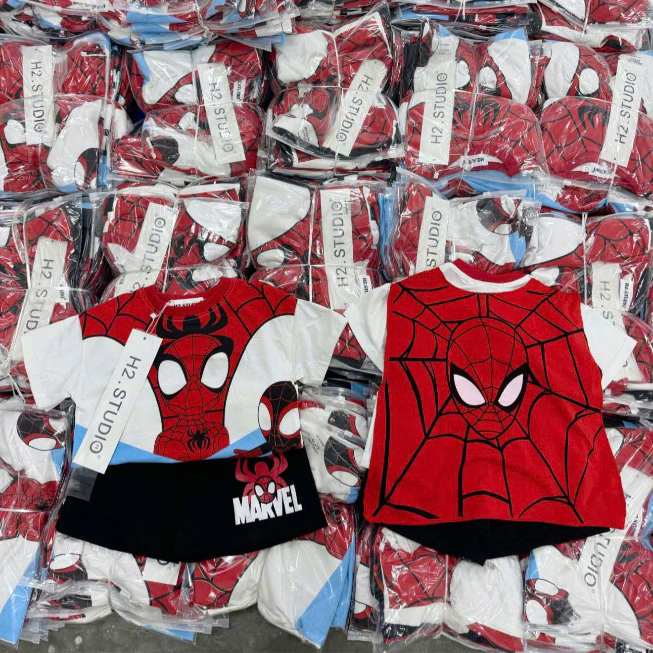 H07 BỘ CỘC NHỆN ĐỎ CÓ ÁO CHOÀNG PHÍA SAU- A117.1690