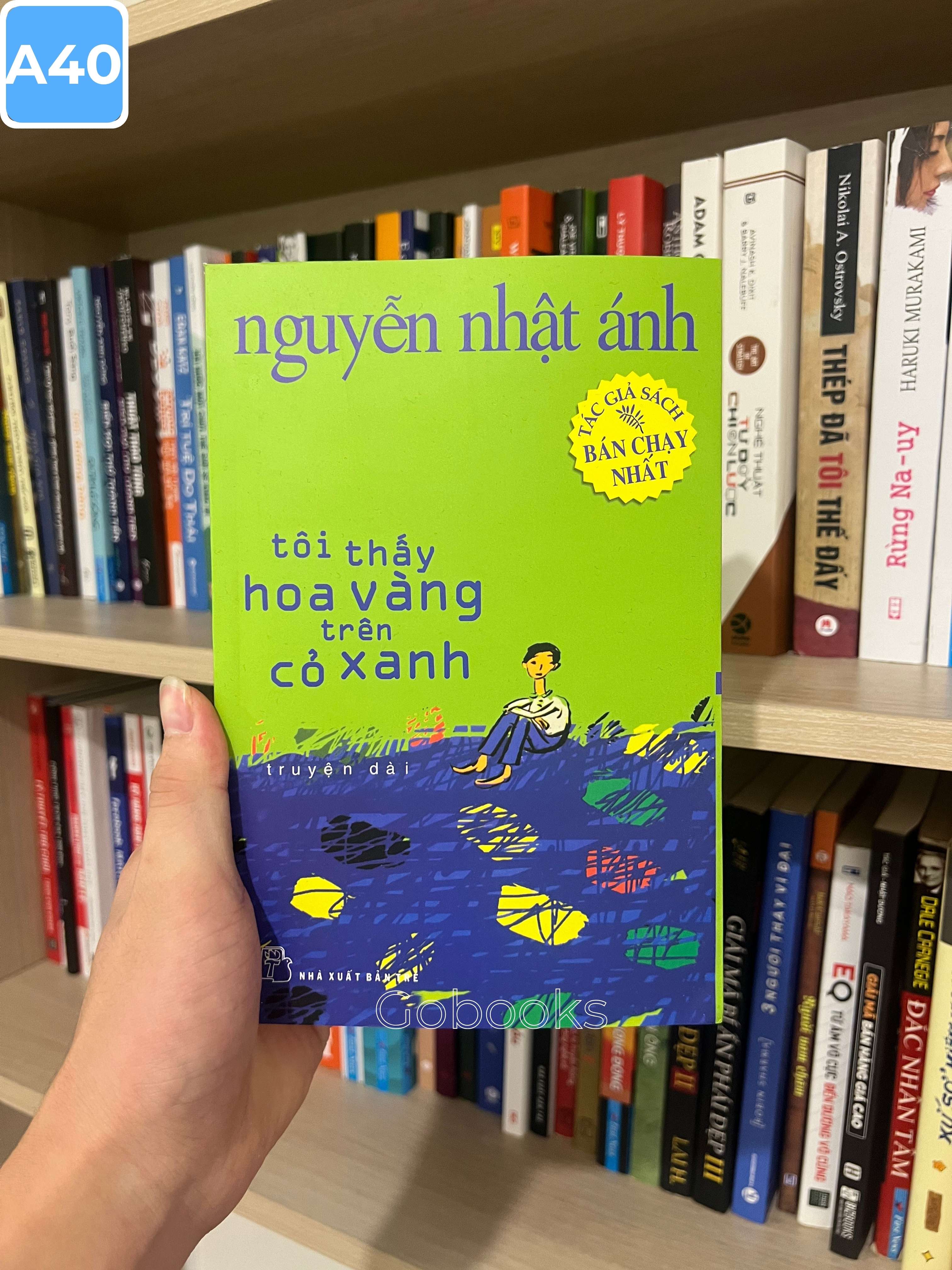 Tôi Thấy Hoa Vàng Trên Cỏ Xanh_thumbnail_1