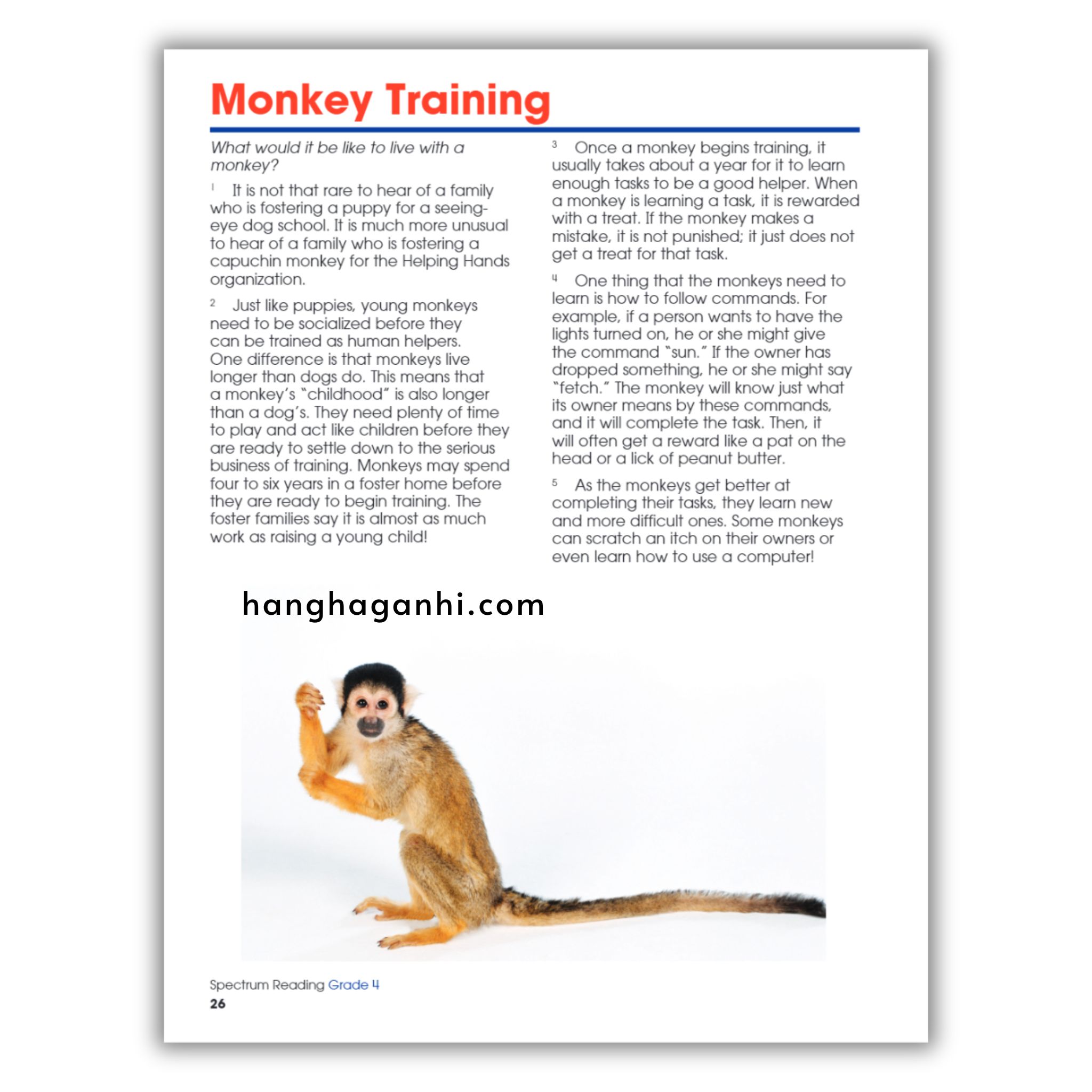 Sách Spectrum Reading Workbook Grade 4_thumbnail_13