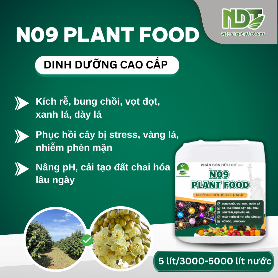N09 PLANT FOOD_thumbnail_1