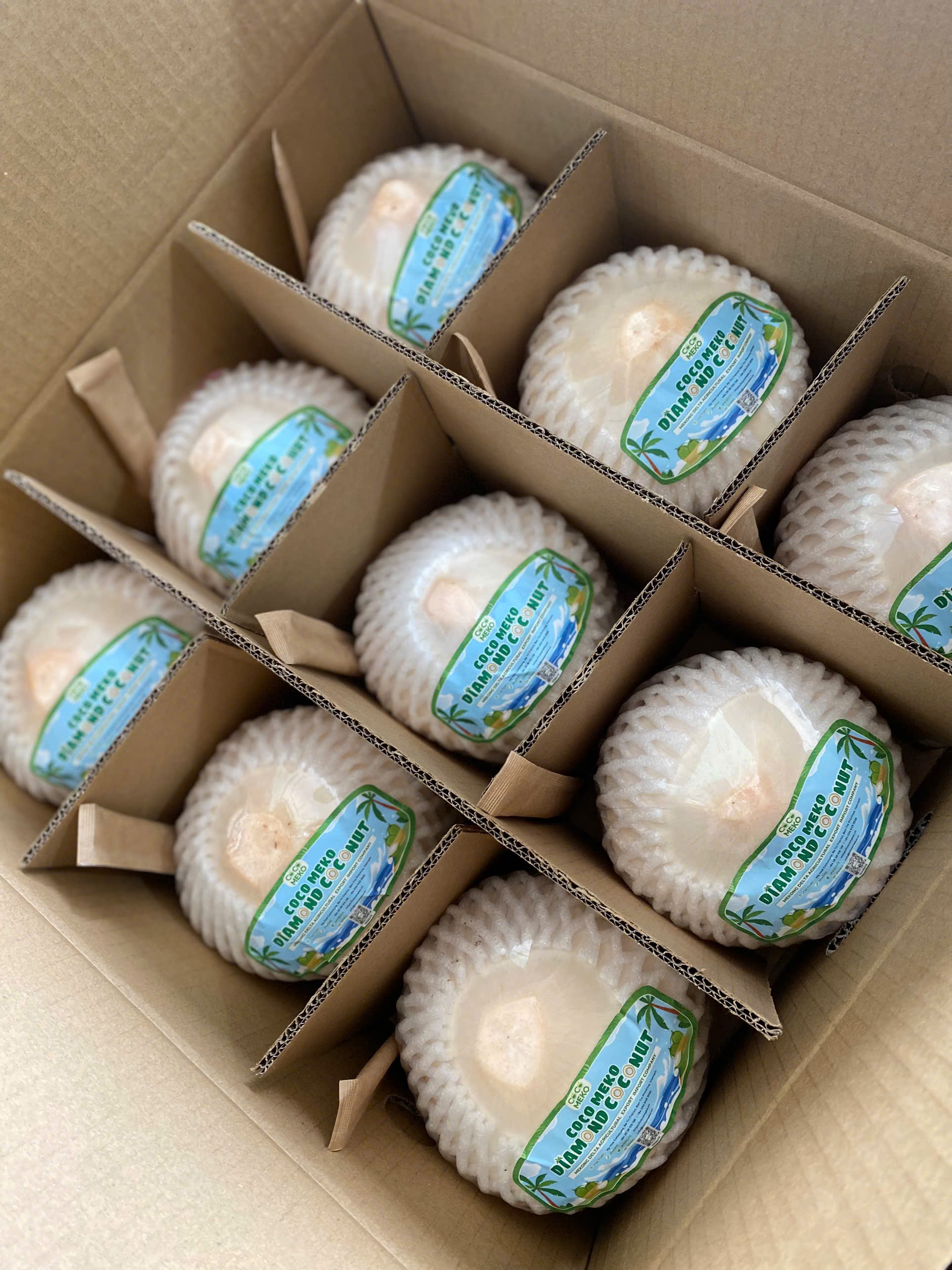 DIAMOND CUT YOUNG COCONUT_thumbnail_2