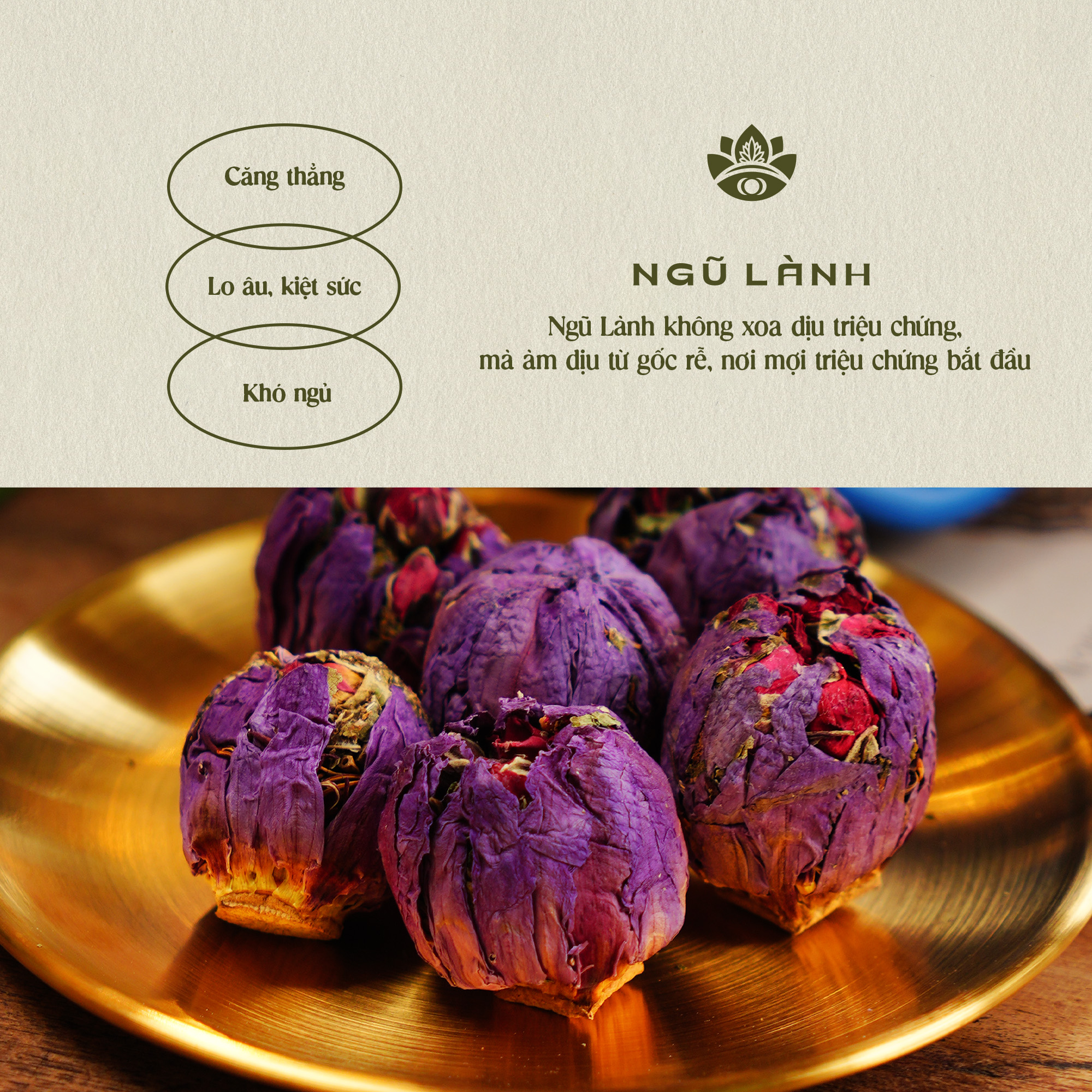 Trà Ngũ Lành - Giảm Căng Thẳng & Điều Hòa Thần Kinh & Ngủ Sâu Tự Nhiên | Natural’s Heal_thumbnail_7