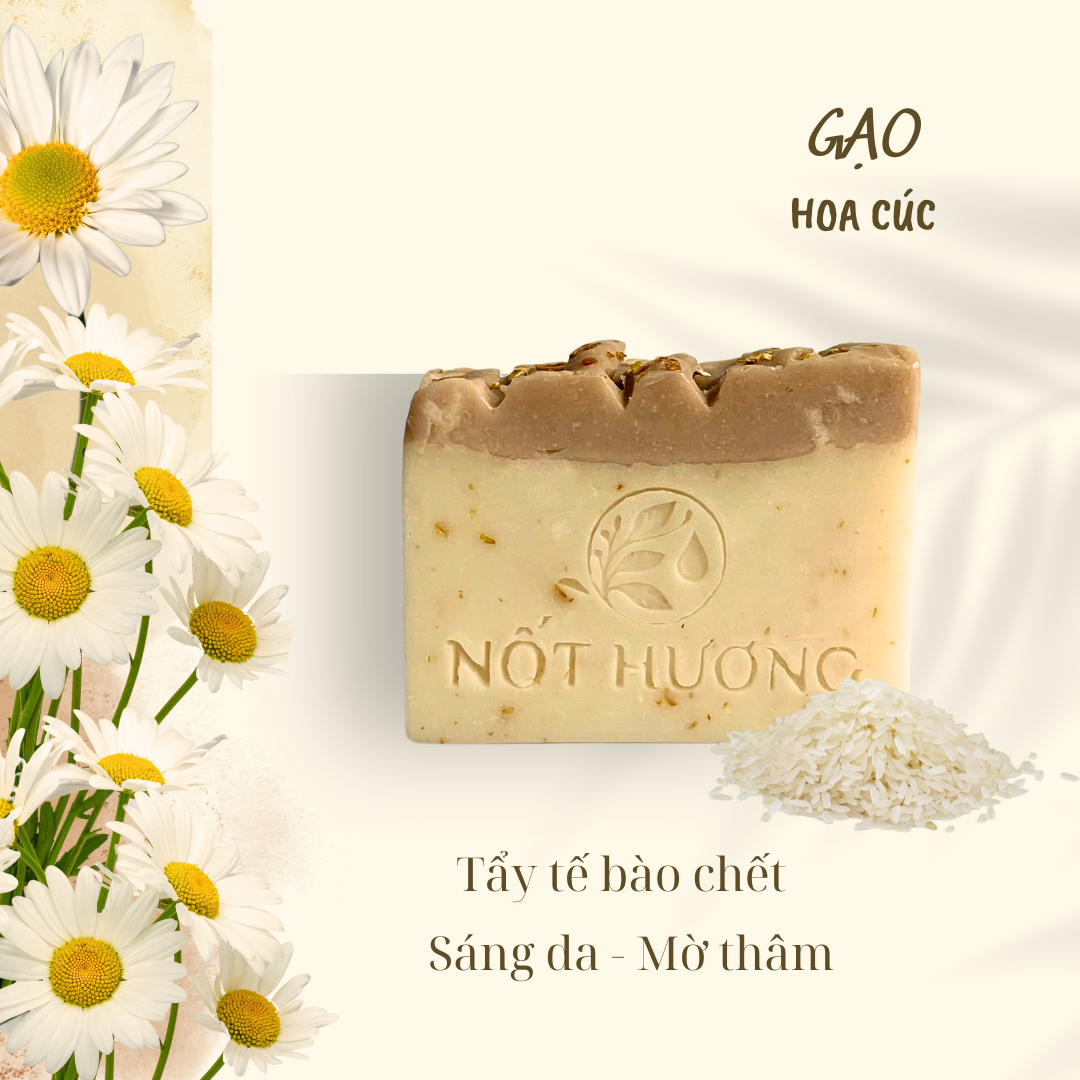 XÀ PHÒNG GẠO - HOA CÚC 