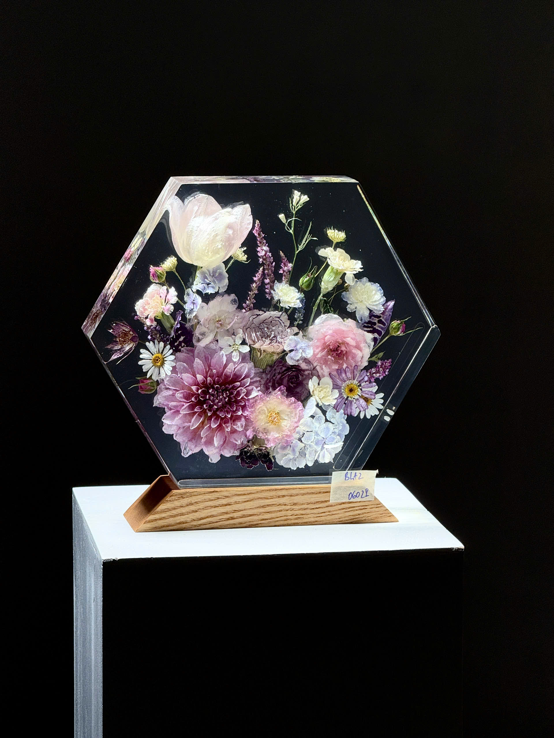 Đèn hoa khô Bloomlight BLA20602I