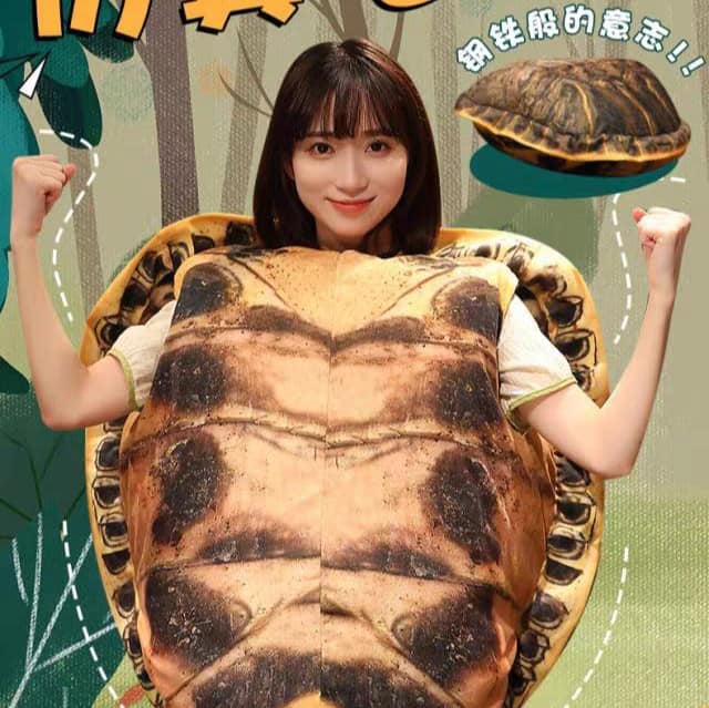 Gối ôm rùa, đệm rùa , mai hòa hóa trang  T30.127_thumbnail_0