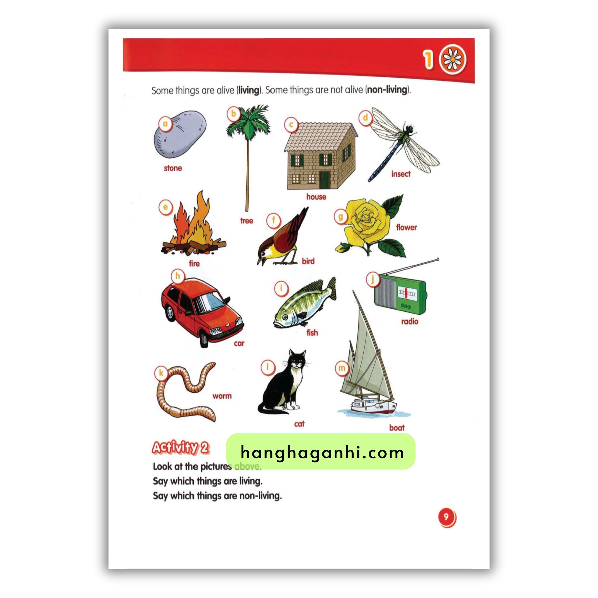 Macmillan Science 1 Pupil’s Book_thumbnail_13