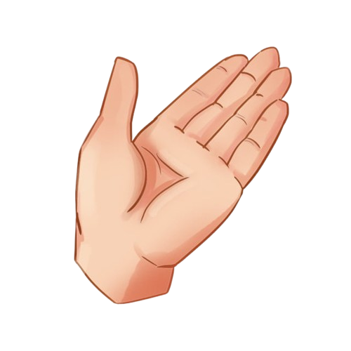 Xem Chỉ Tay Chi Tiết, Chuyên Sâu