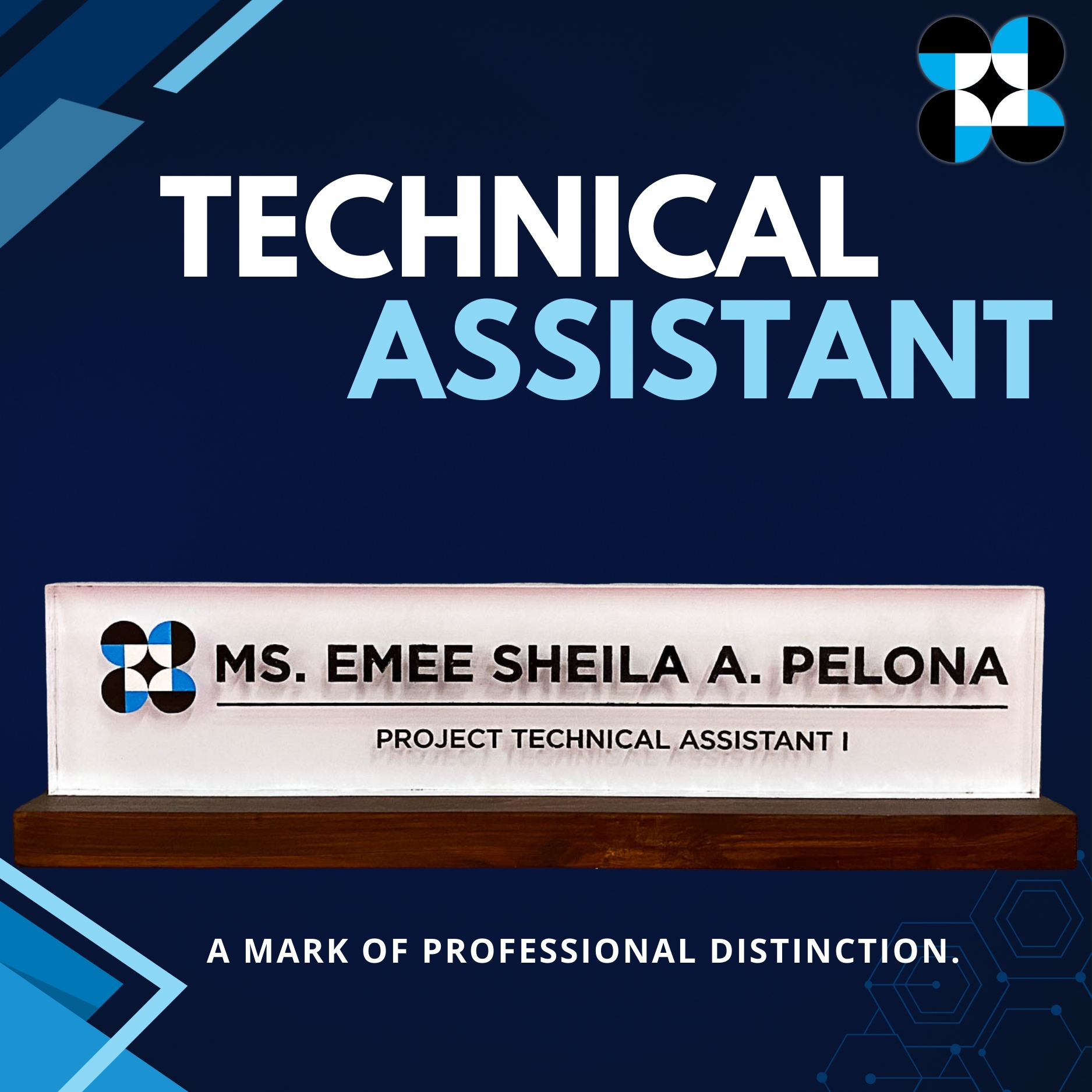 Technical Assistant Table name