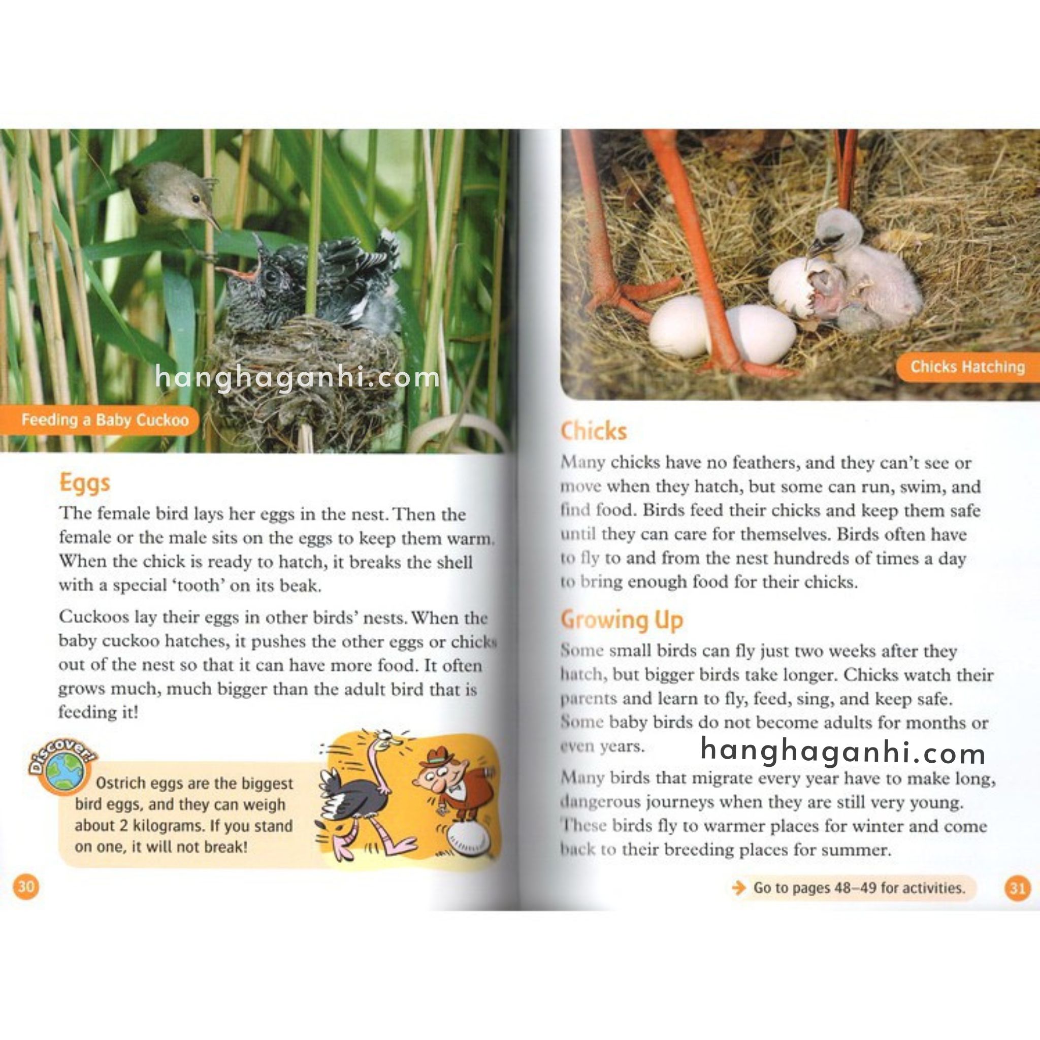 Bộ 14 Cuốn Oxford Read and Discover-Read and Imagine Level 5 – Sách Nhập nguyên seal kèm file nghe_thumbnail_4