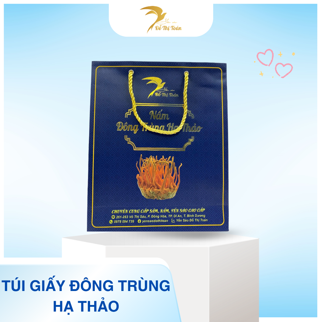 Túi giấy đông trùng nhỏ