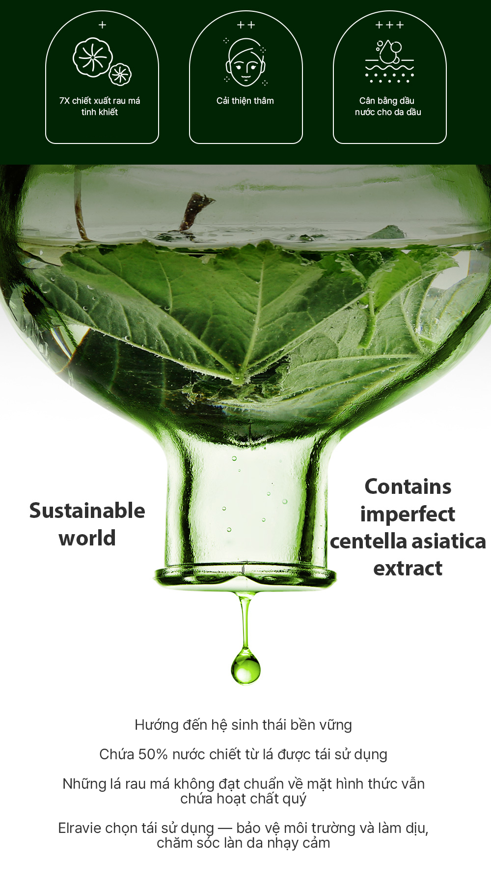 Kem chấm mụn làm dịu, phục hồi và giảm thâm elravie HyCicaMue Spot Cream_thumbnail_3