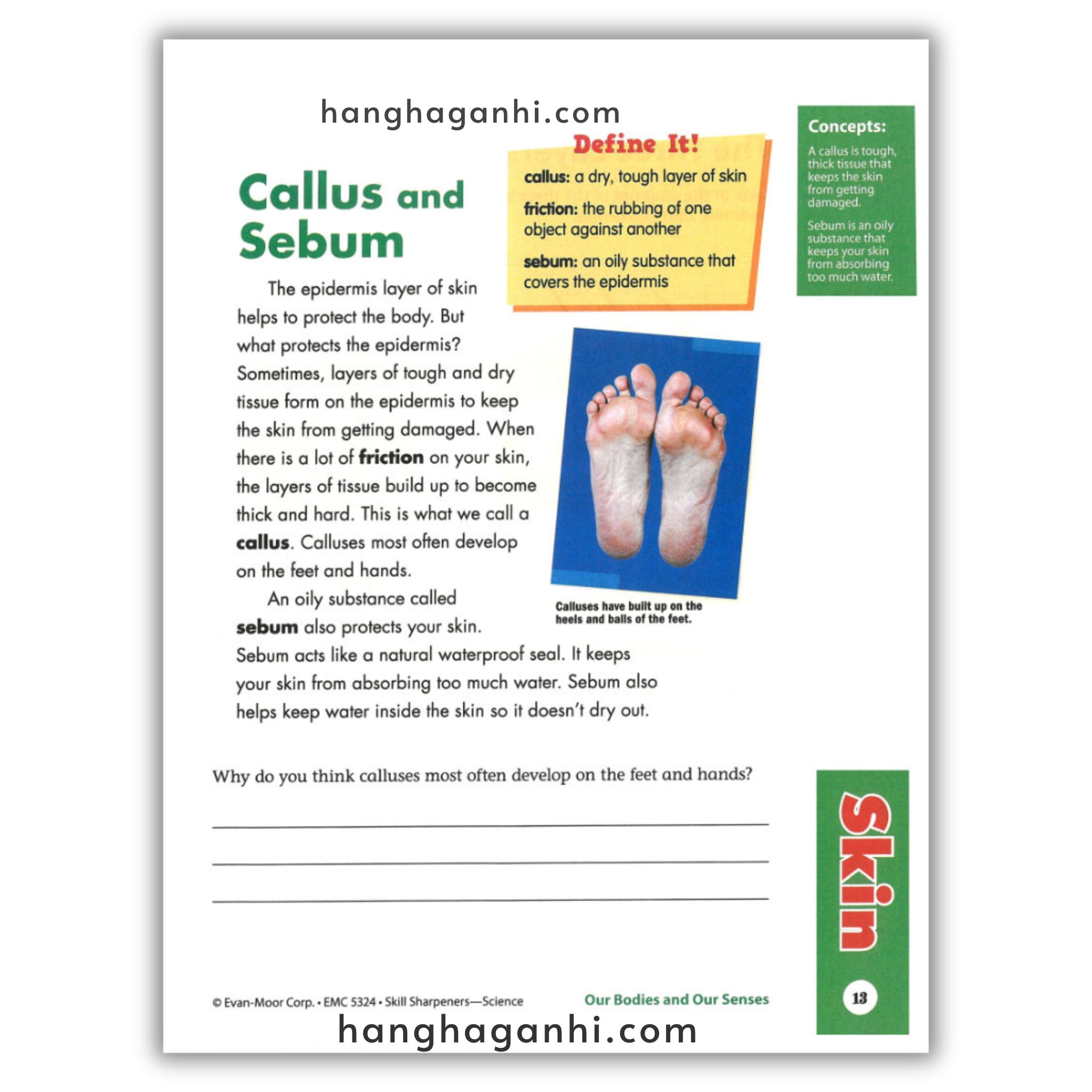 Skill Sharpeners Science Grade 4_thumbnail_10