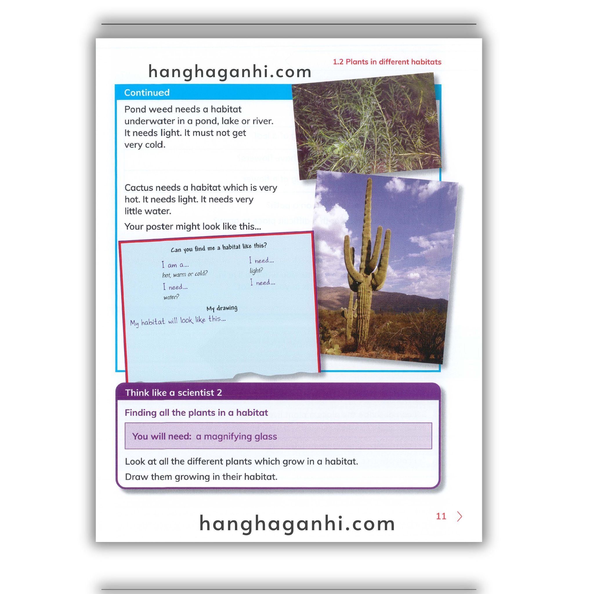 Cambridge Level 2 Primary Science Learner’s Book 2nd edition 2021_thumbnail_10