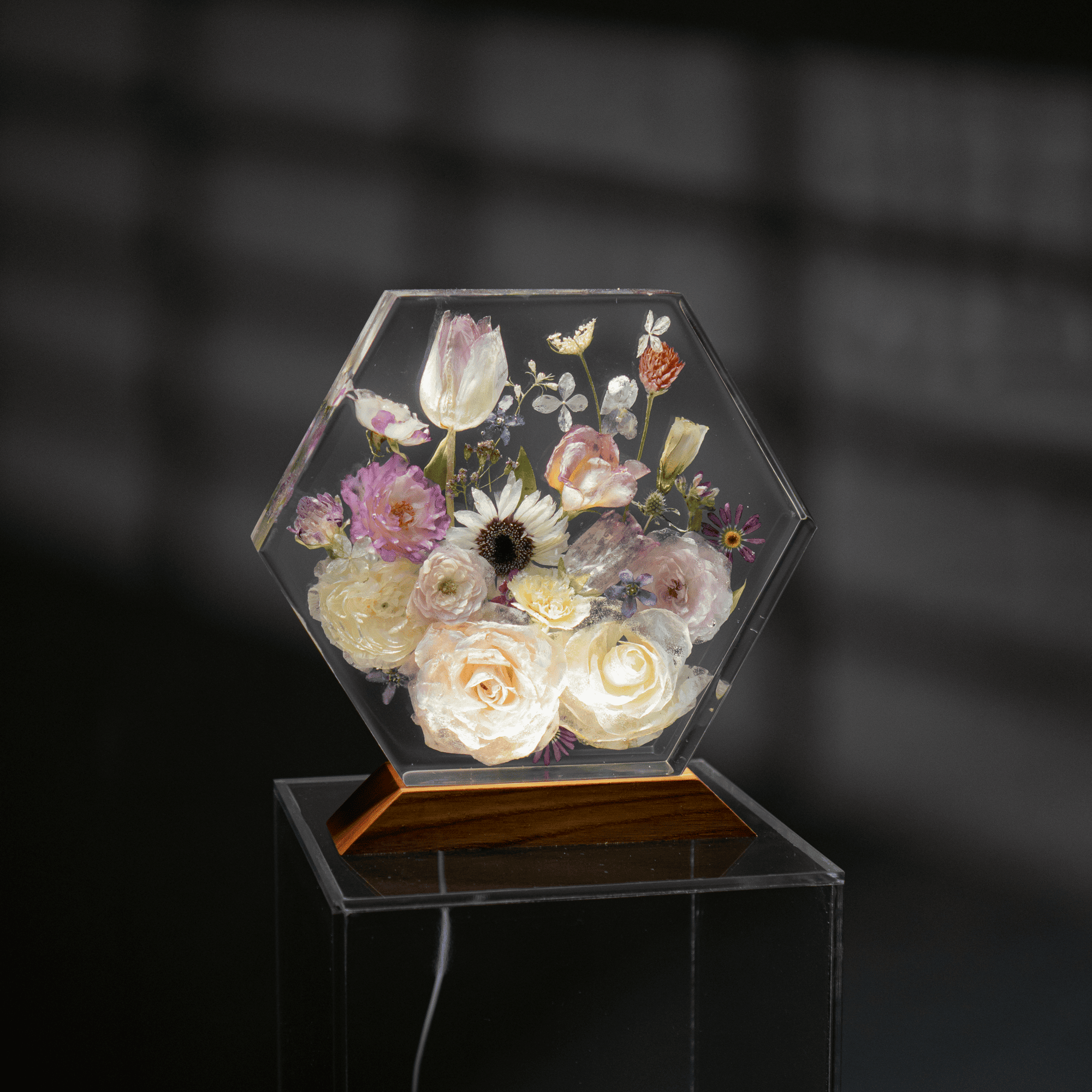 Đèn Hoa Độc Bản Bloomlight BLL29925-22