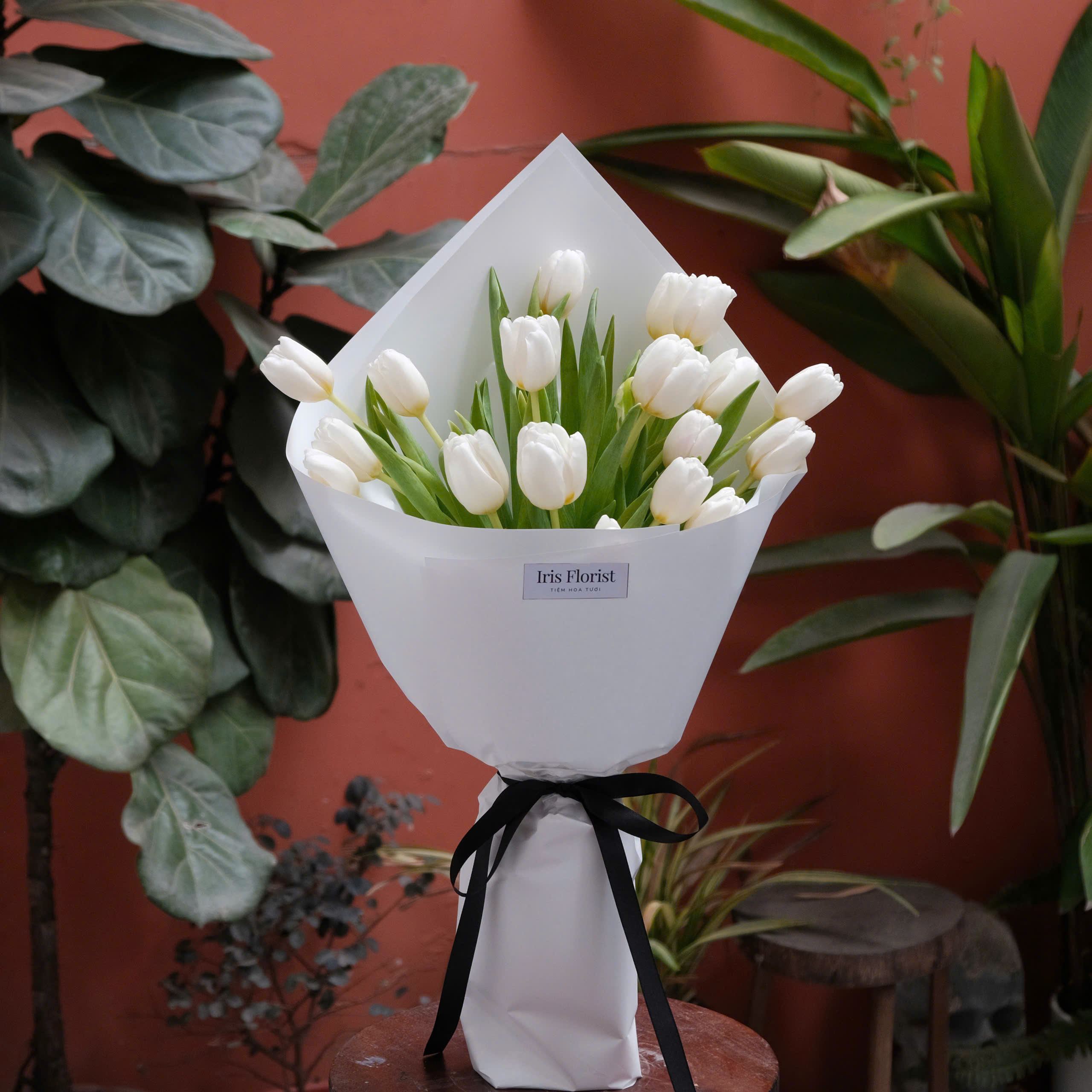 Bó Tulip trắng 20 bông