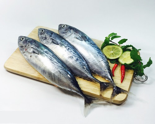 Cá ngừ Nguyên con, Đánh bắt trực tiếp [Giao hàng hỏa tốc Huế]