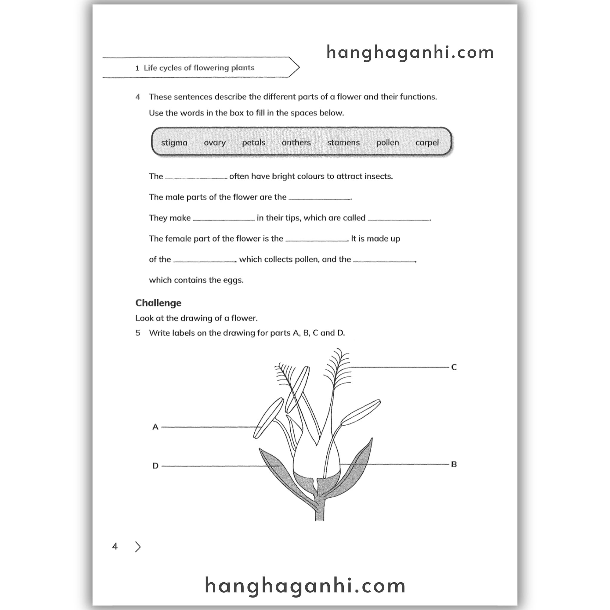 Cambridge Level 5 Primary Science Learner’s Book and Workbook 2nd edition 2021_thumbnail_9