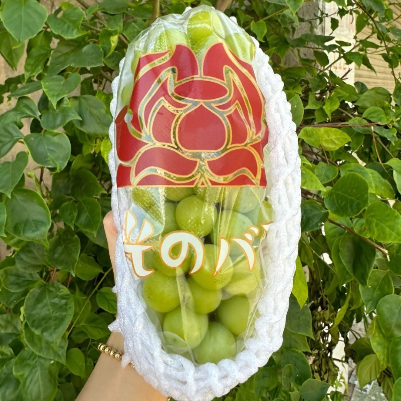 Nho Mẫu Đơn (J&R)