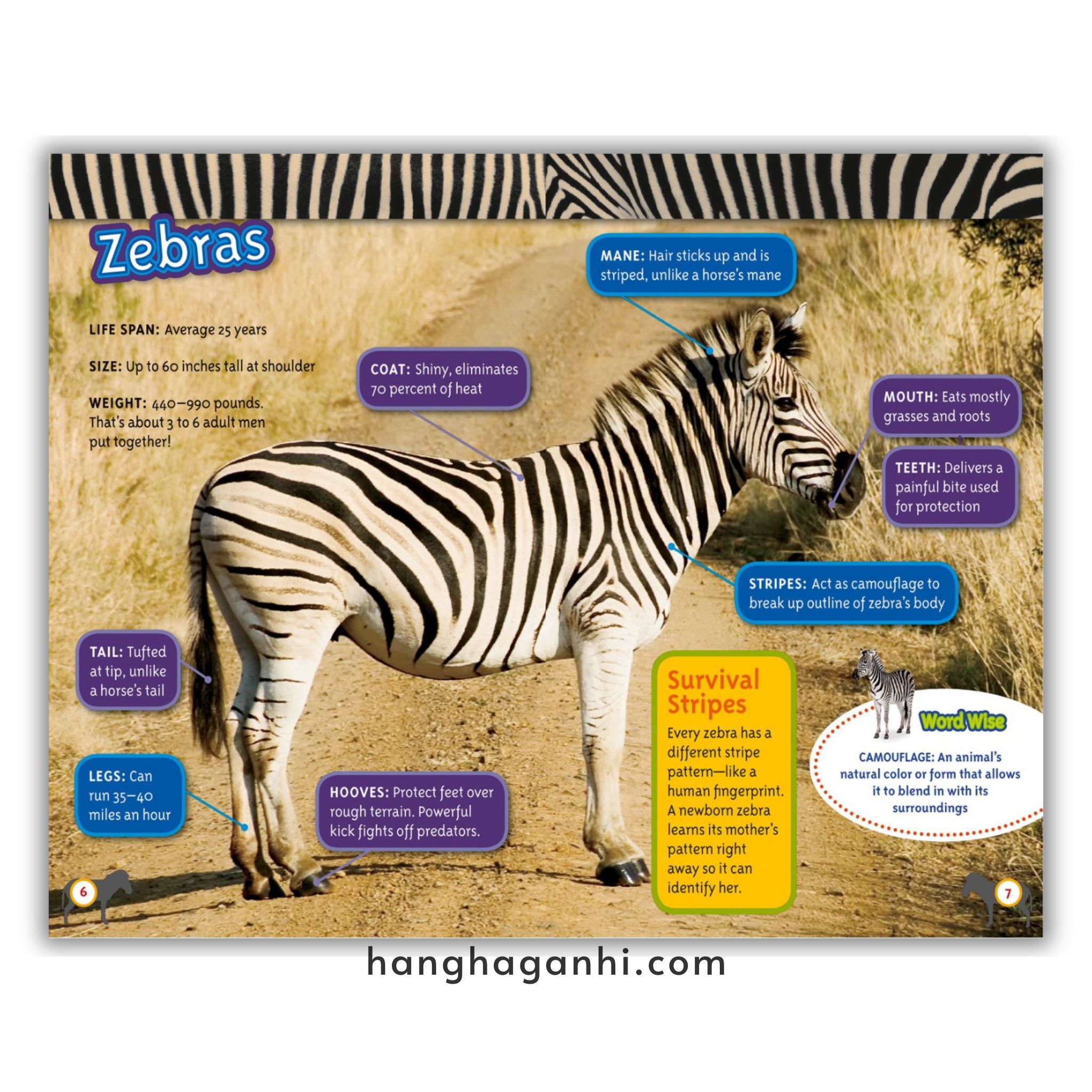 Bộ 38 cuốn National Geographic Kids level 3 - sách Khoa học tiếng Anh nhập khẩu, nguyên seal_thumbnail_18