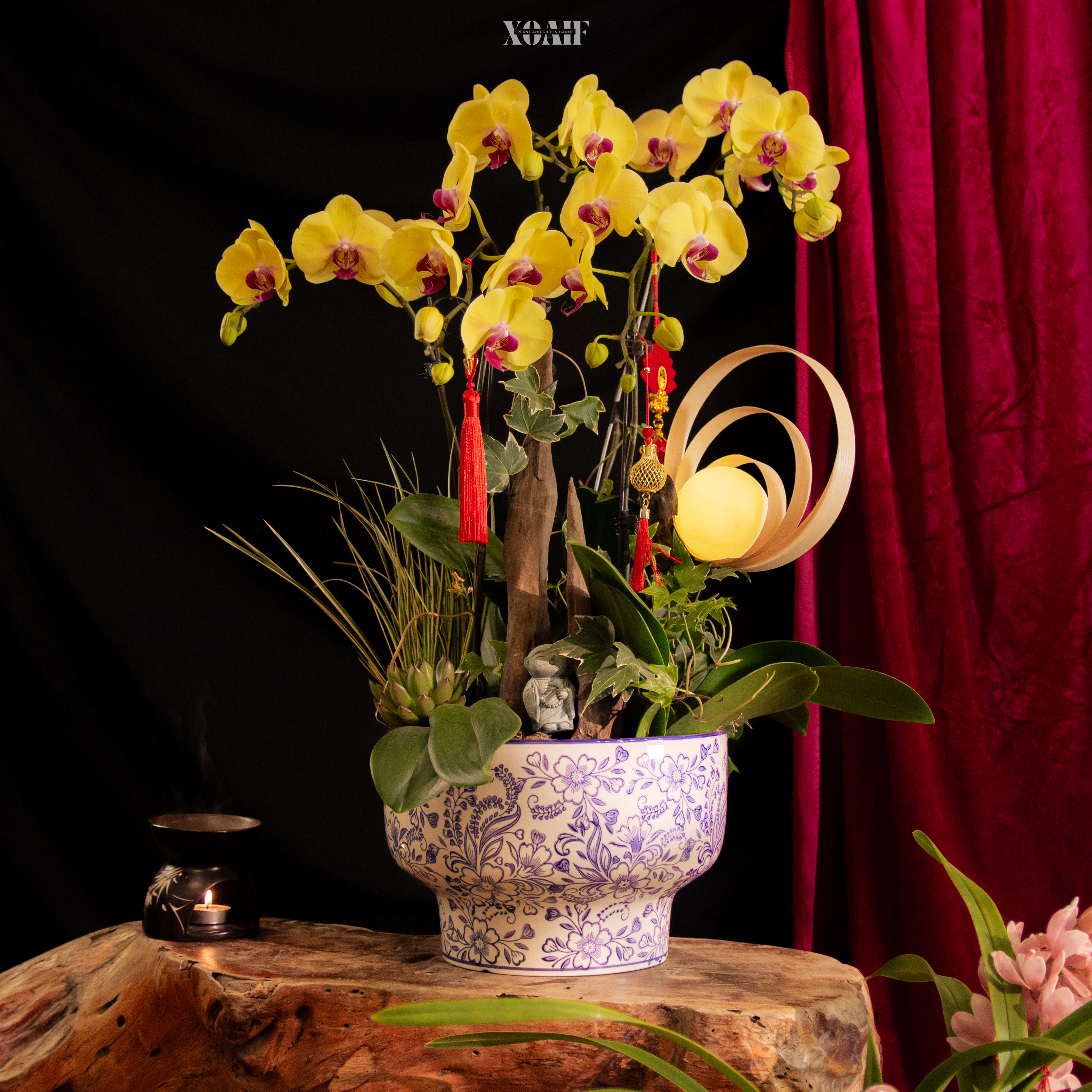 LAN HỒ ĐIỆP - NGUYỆT DẠ LAN HƯƠNG_thumbnail_6