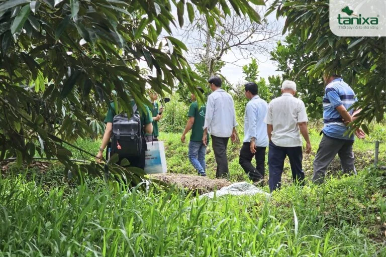 Hội thảo đầu bờ: Tham quan vườn Monthong trúng bông nhờ áp dụng quy trình Tanixa ngay từ đầu vụ