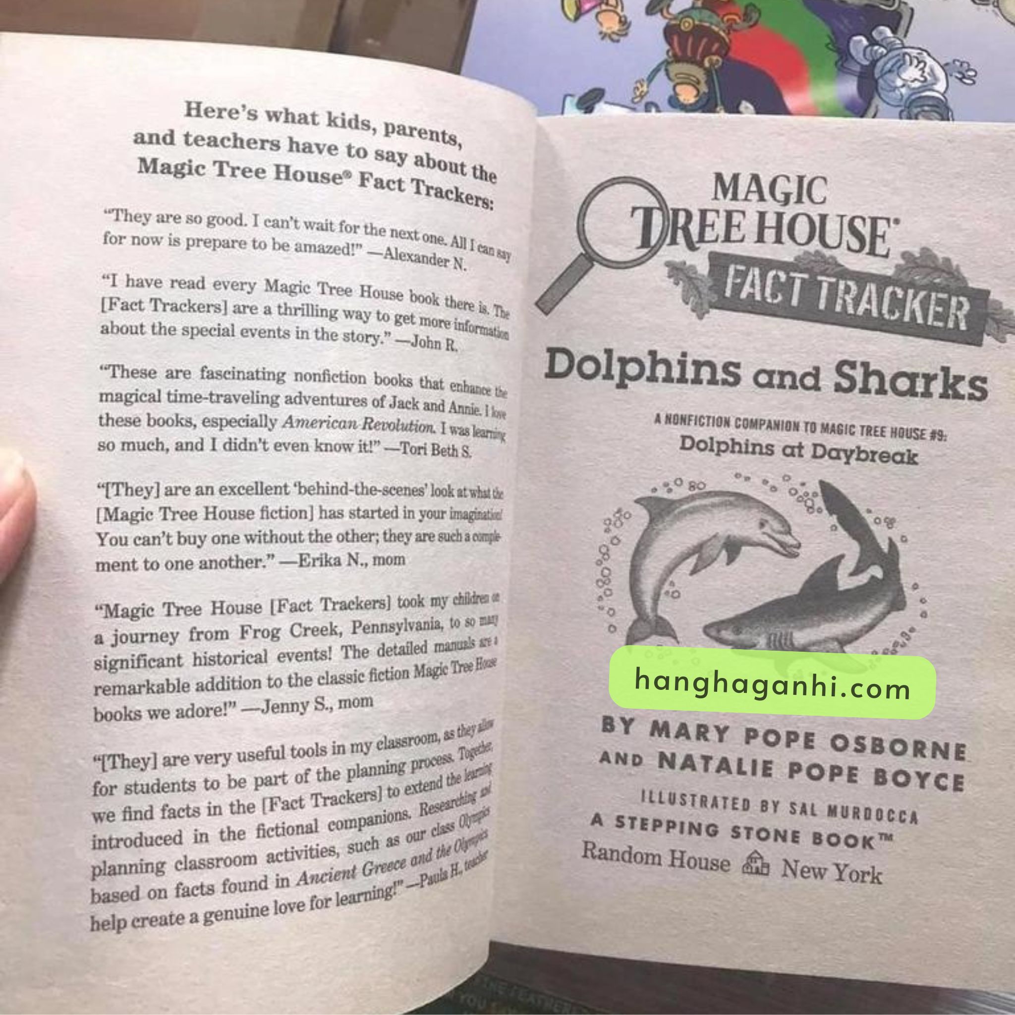 MAGIC TREE HOUSE PHẦN 3 gồm 44 quyển mới nhất (có 40/44 file nghe)_thumbnail_5