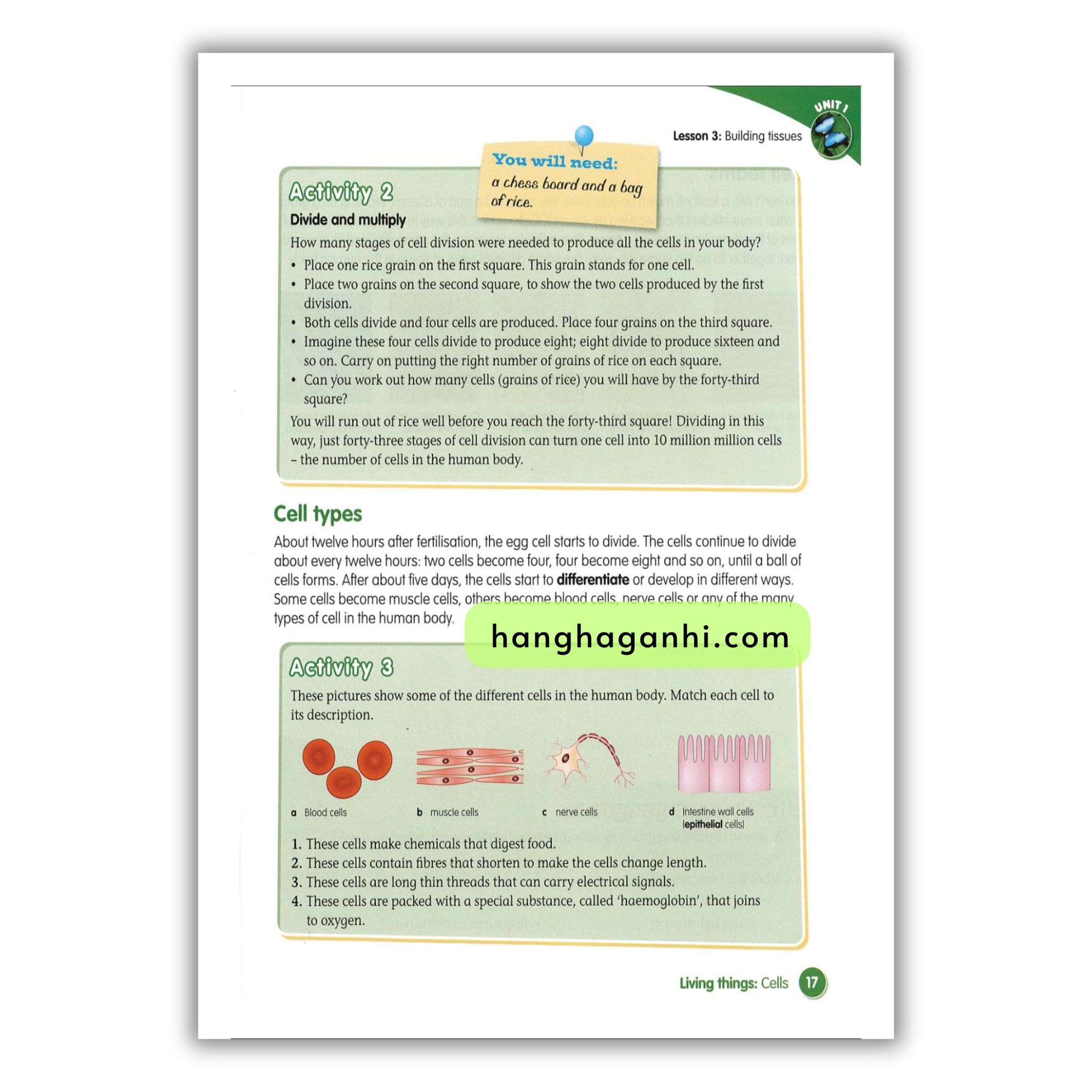 Macmillan Science 6 Pupil’s book_thumbnail_11