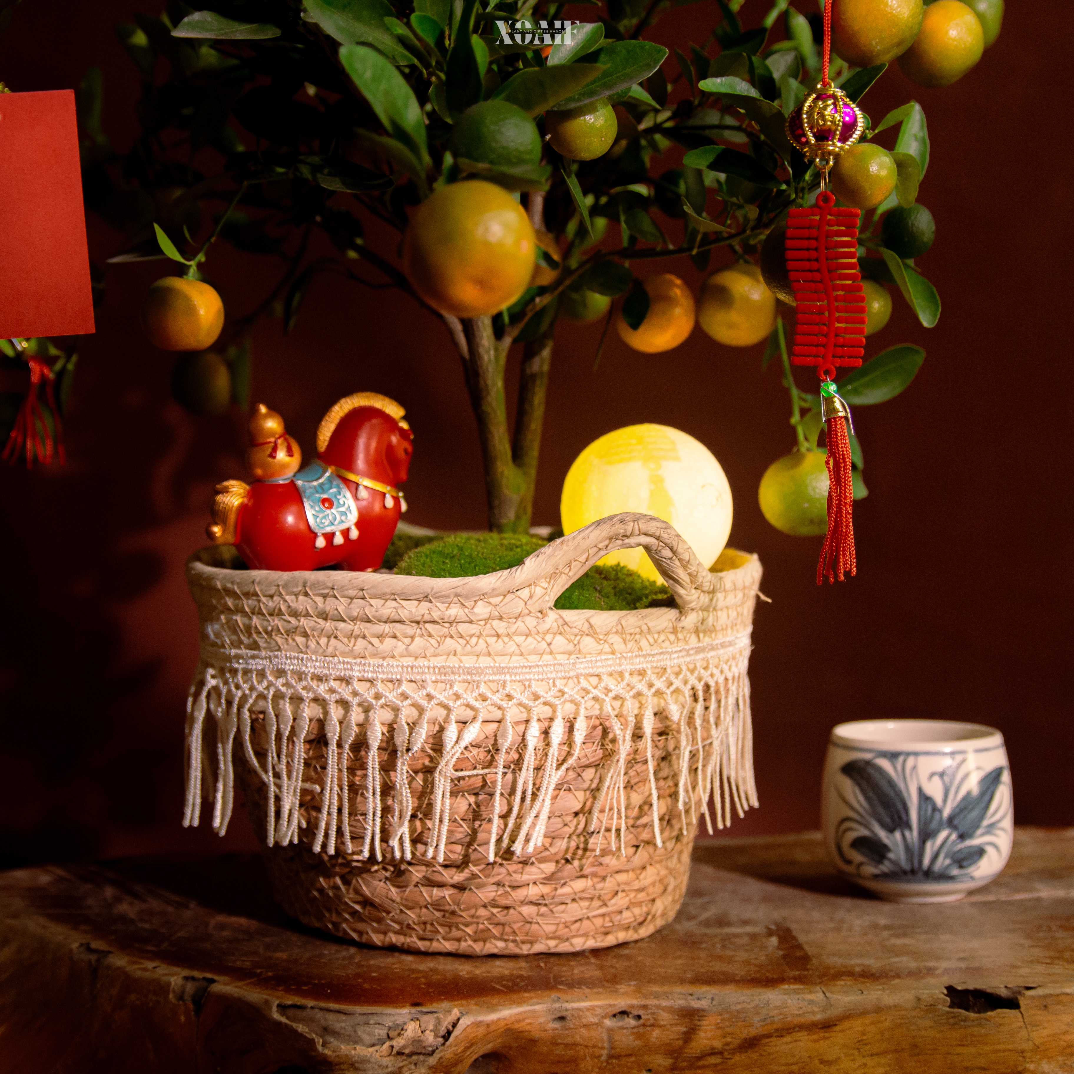 NGUYỆT HIÊN_thumbnail_2