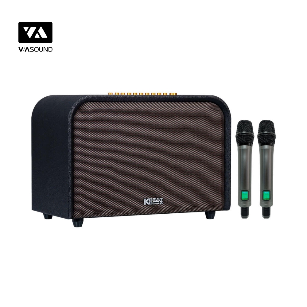 Loa Kéo ACNOS ACOUSTIC 3