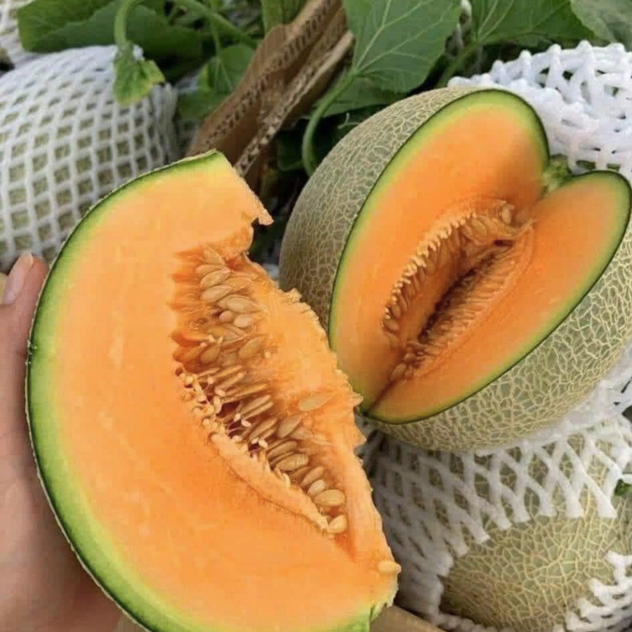 Dưa lưới TL3_thumbnail_2