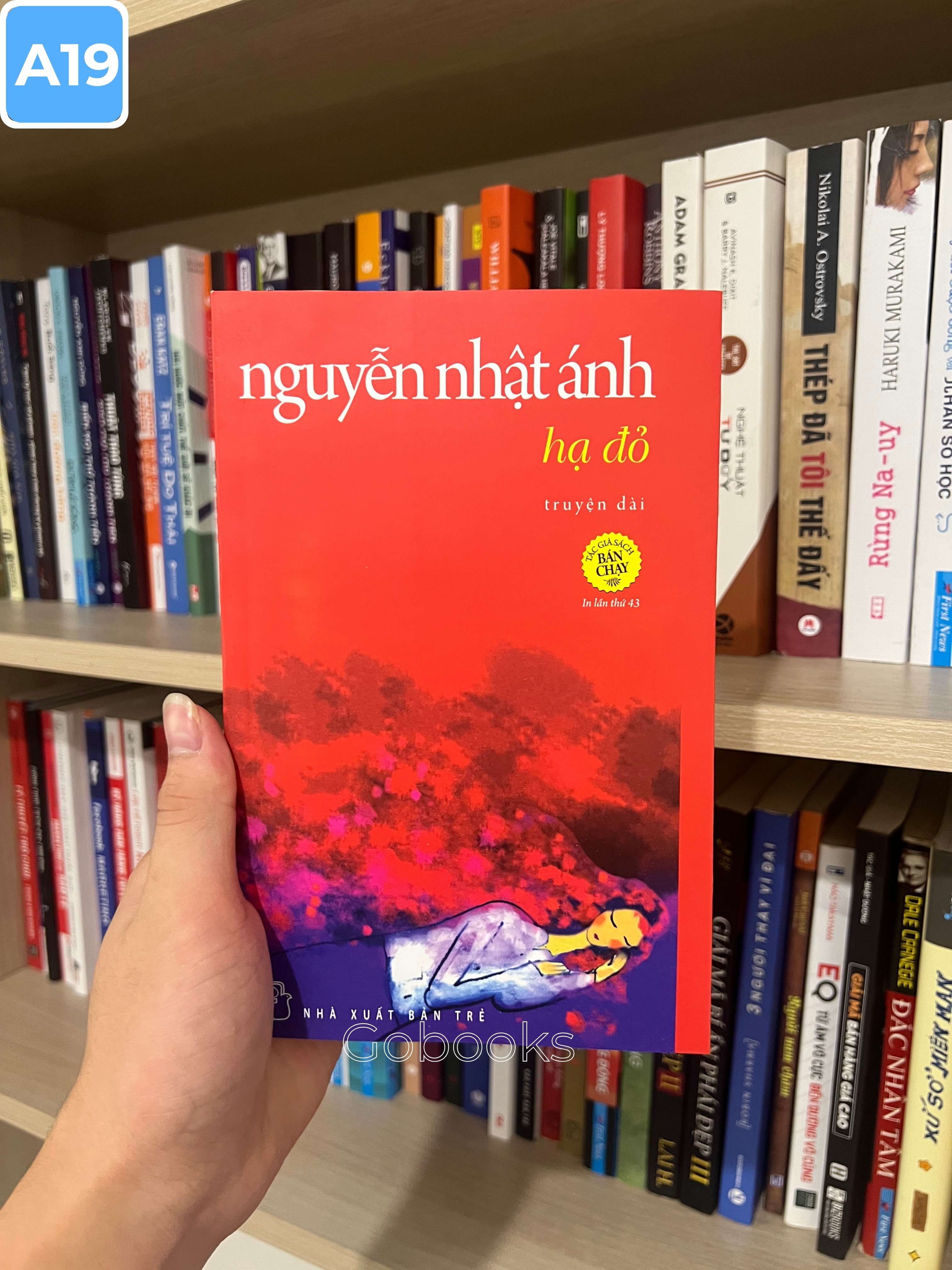 Hạ Đỏ_thumbnail_1