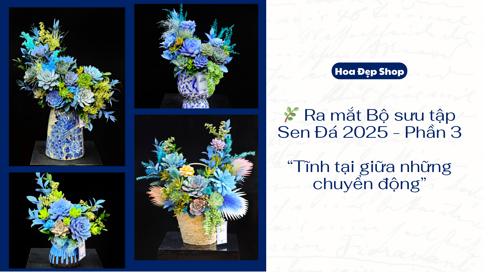 🌿 Ra mắt Bộ sưu tập Sen Đá 2025 – Phần 3: “Tĩnh tại giữa những chuyển động”