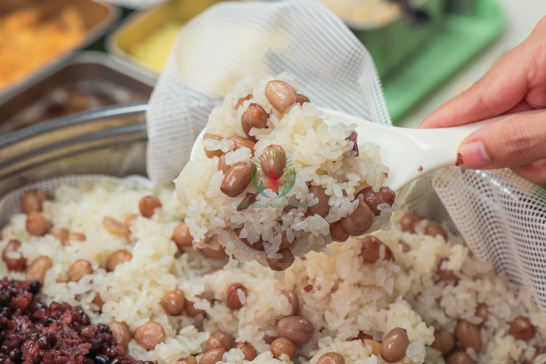 CÔNG THỨC COMBO 6 LOẠI XÔI QUỐC DÂN