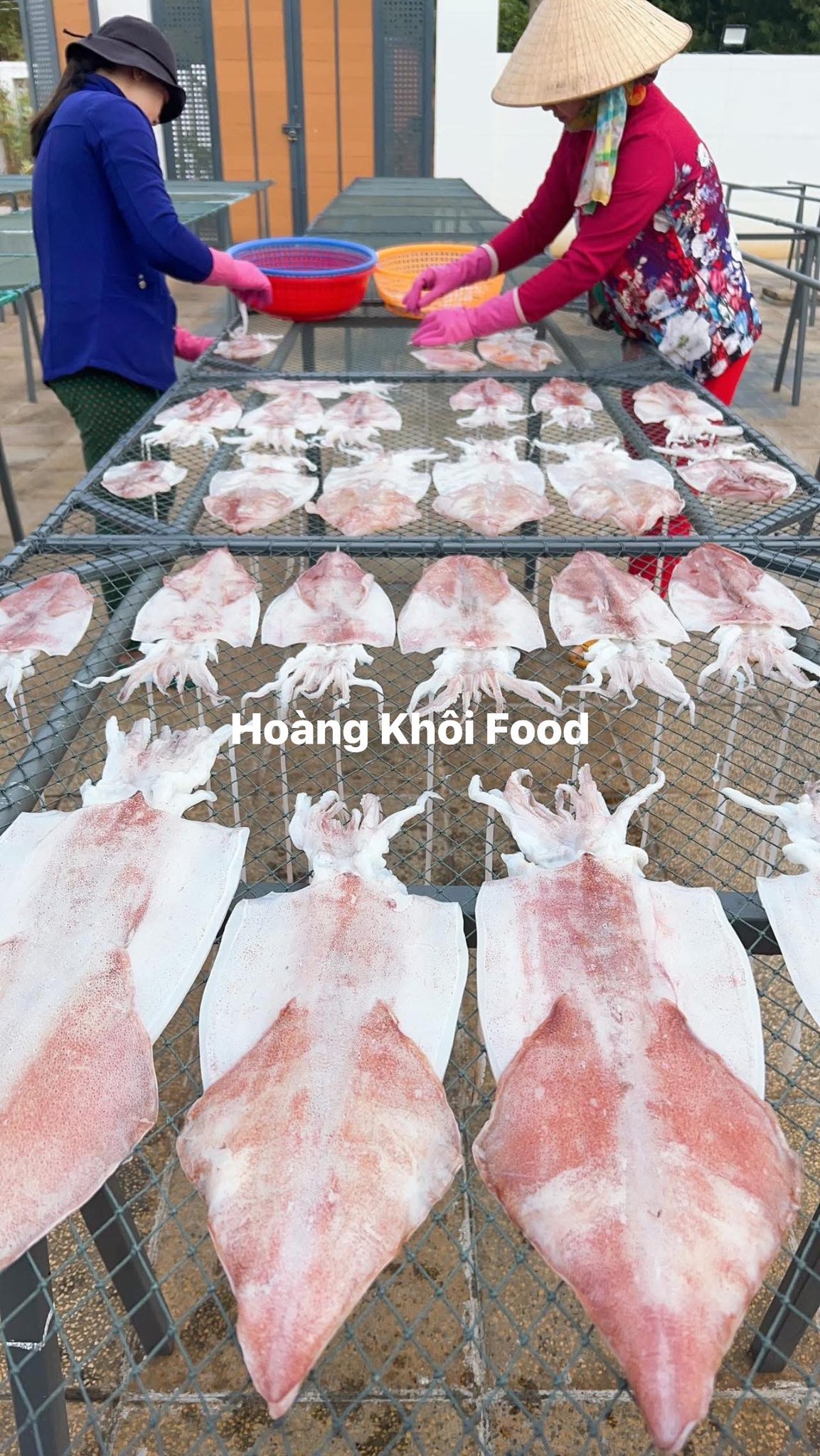 Mực 1 Nắng_thumbnail_3