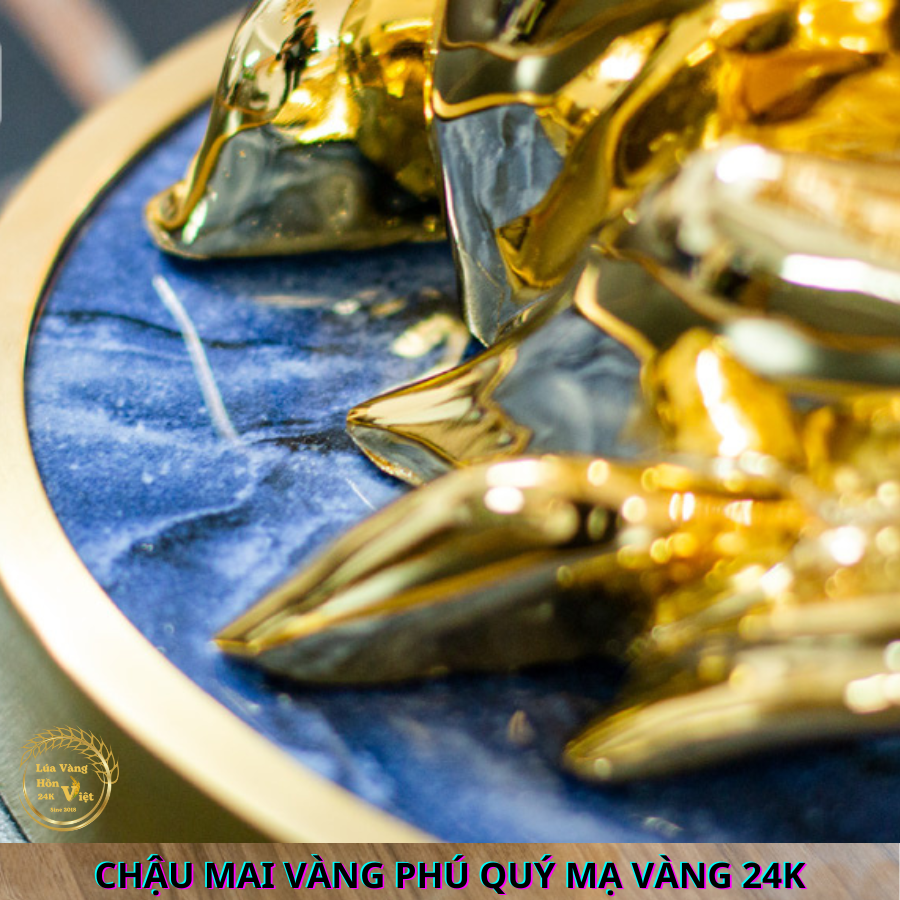 CHẬU MAI VÀNG PHÚ QUÝ MẠ VÀNG 24K_thumbnail_5