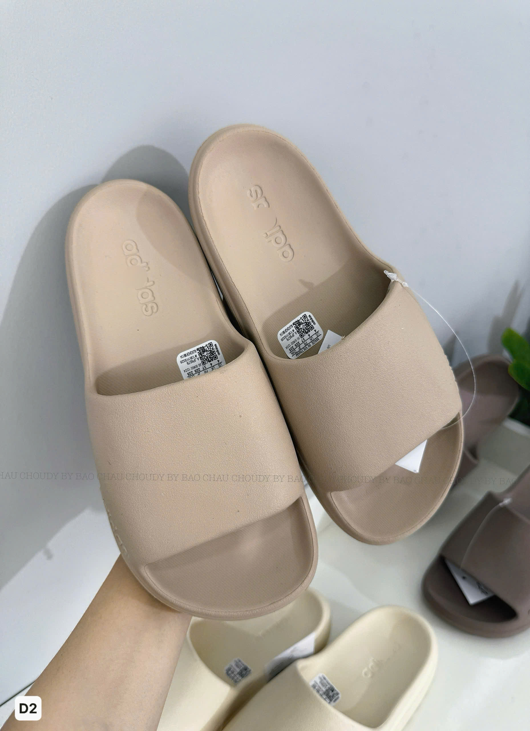 D2 DÉP 6 MÀU_thumbnail_4