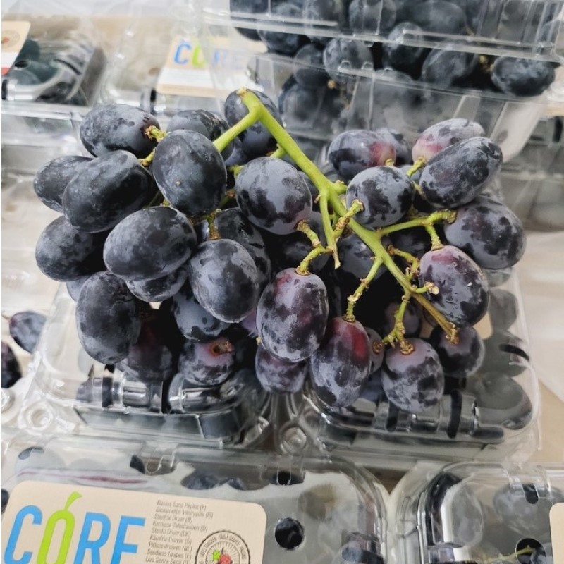 Nho Đen Nam Phi (Core)