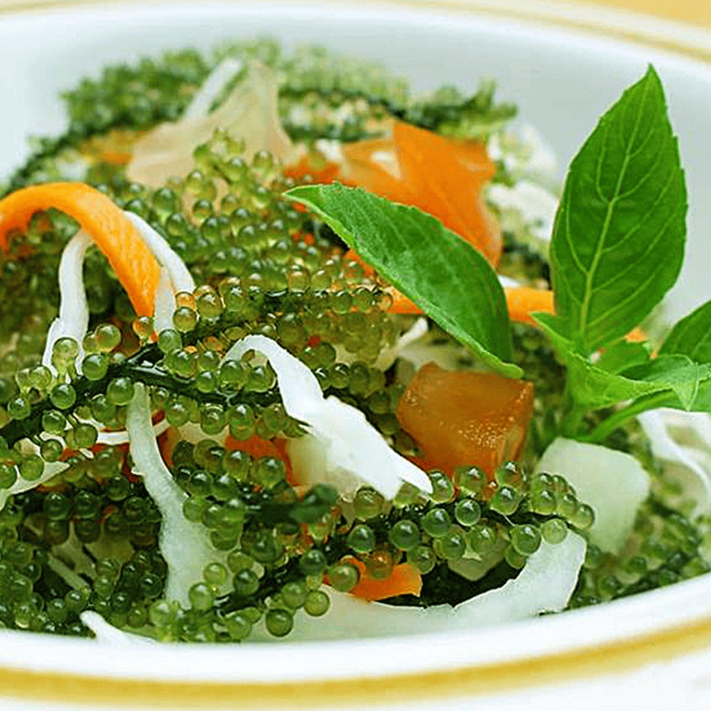 Rong nho tách nước Khánh Hoà_thumbnail_4