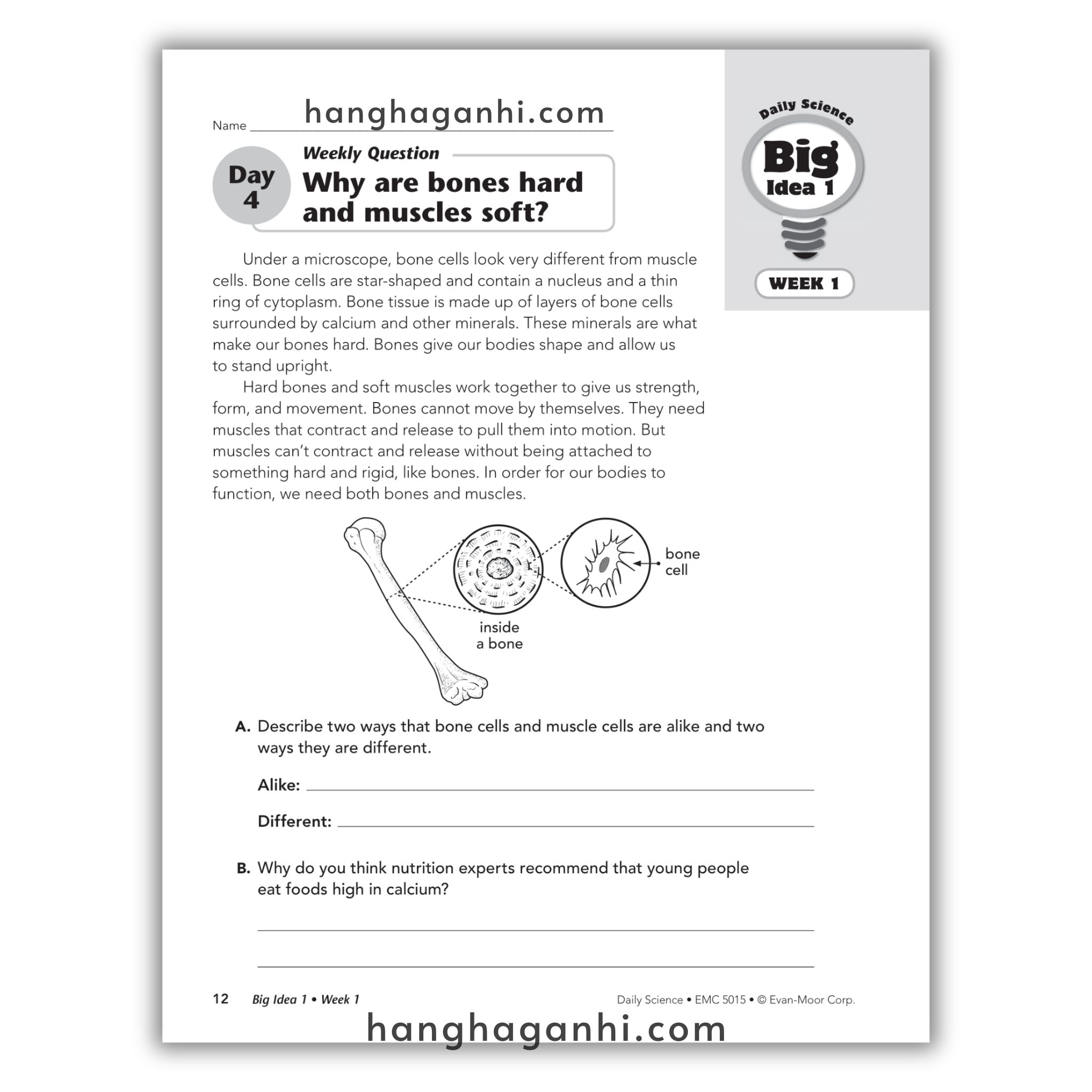 Daily Science Grade 5_thumbnail_4