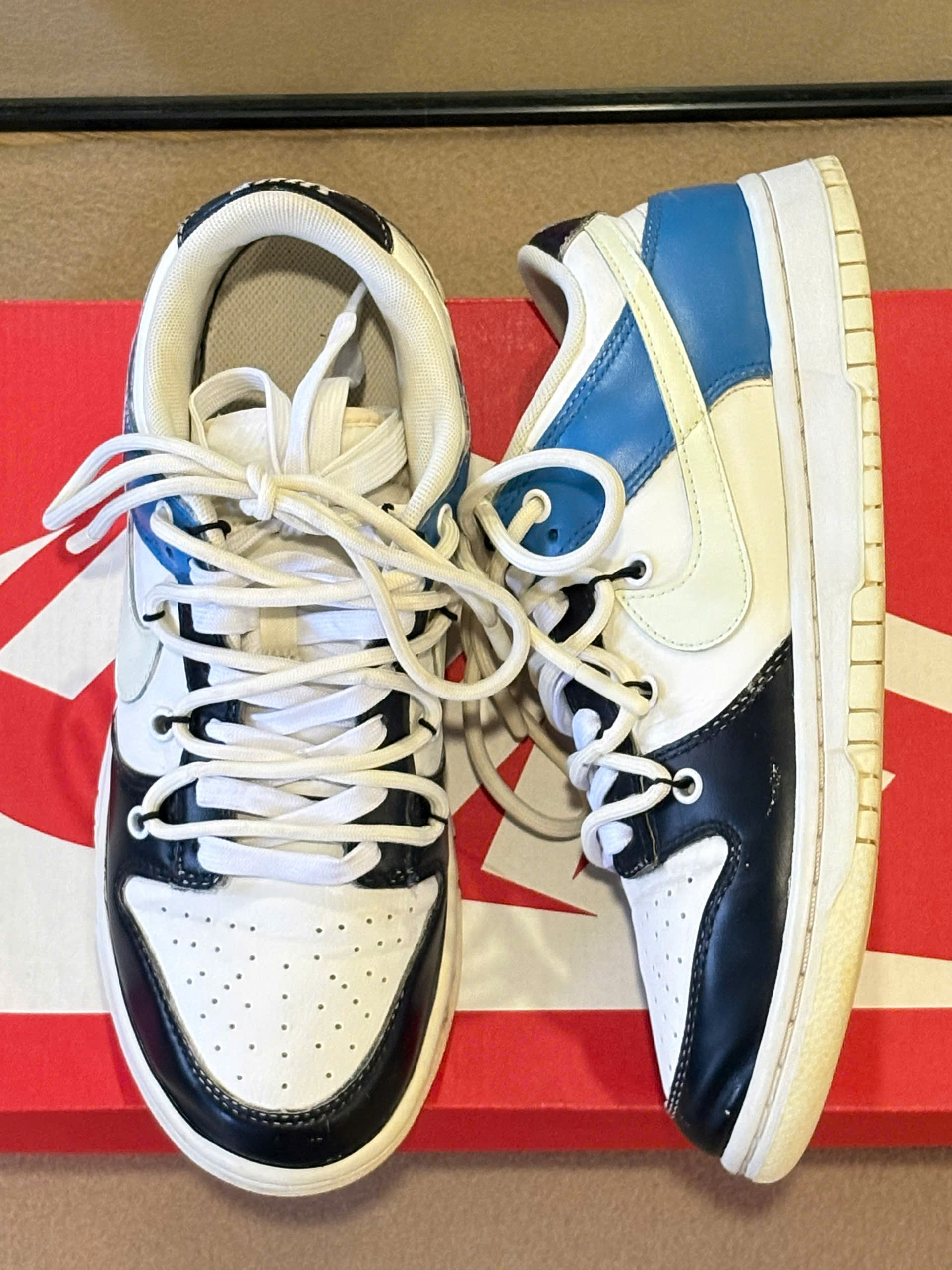 Nike Dunk Low Retro (W)