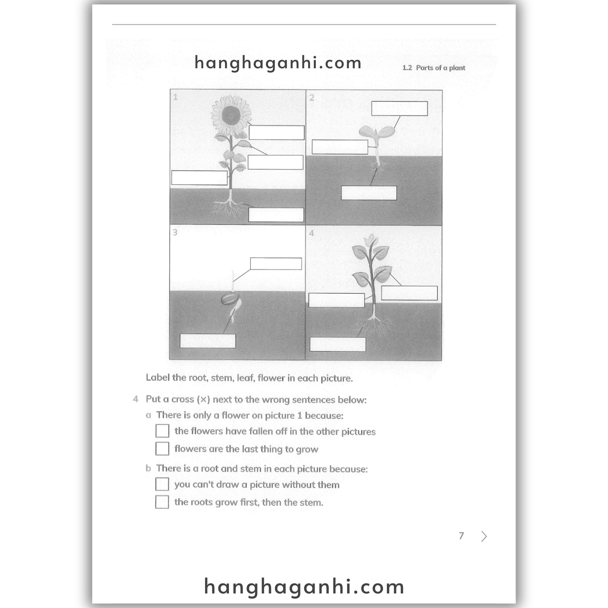 Cambridge Level 1 Primary Science Workbook 2nd edition 2021_thumbnail_3