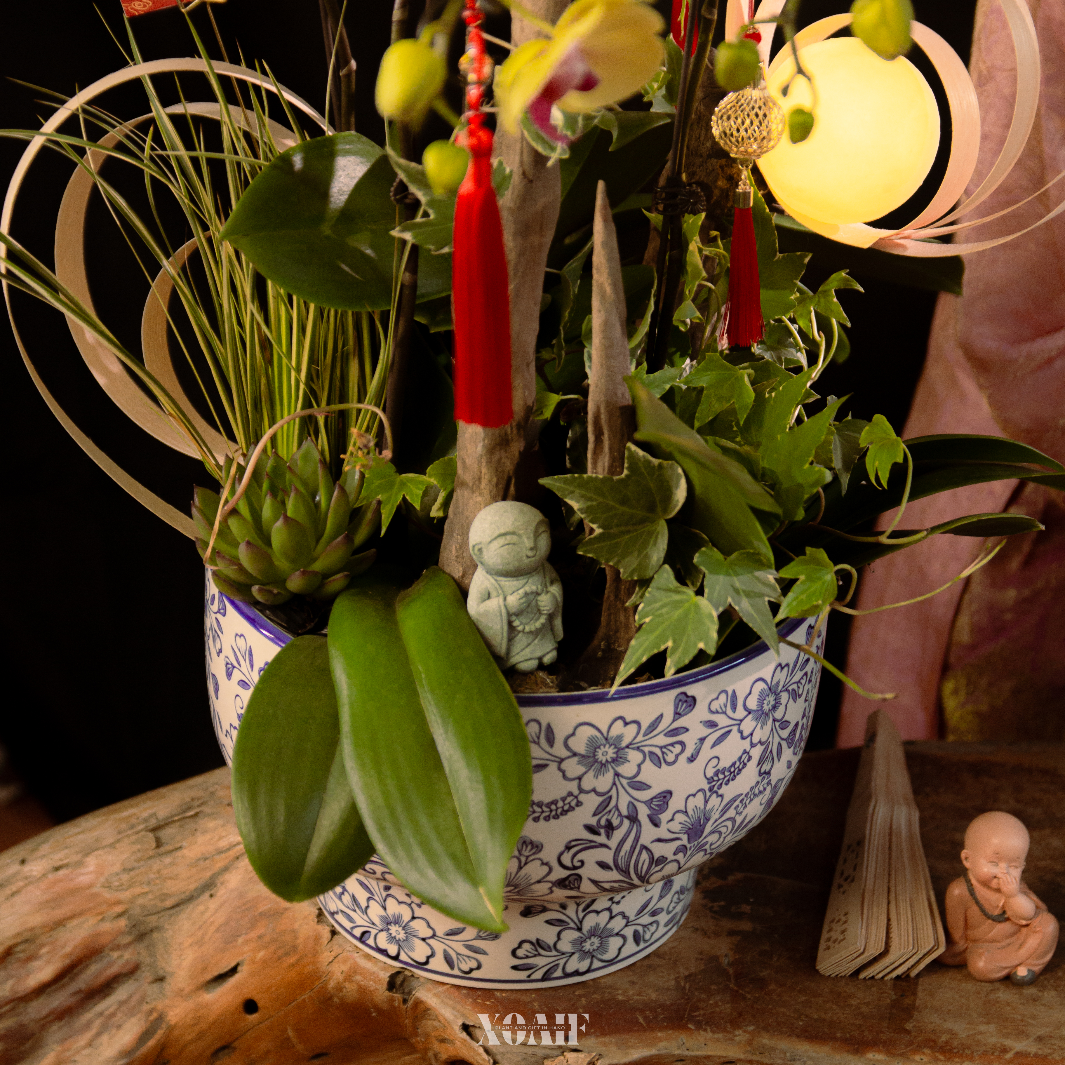 LAN HỒ ĐIỆP - NGUYỆT DẠ LAN HƯƠNG_thumbnail_2