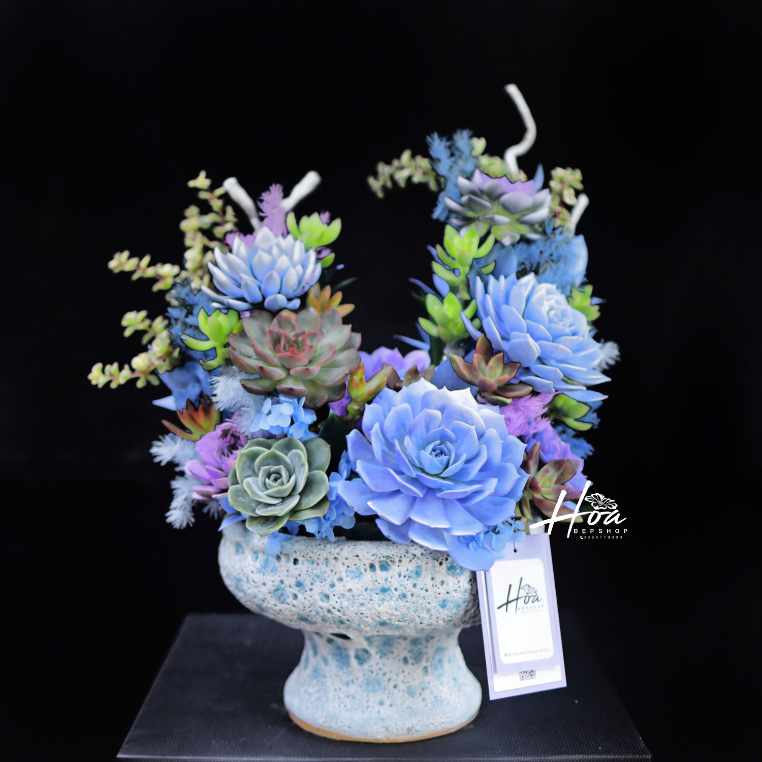 Bình ly sen đá xanh2