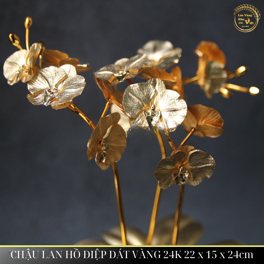 CHẬU LAN HỒ ĐIỆP DÁT VÀNG 24K 22x15x24cm_thumbnail_4